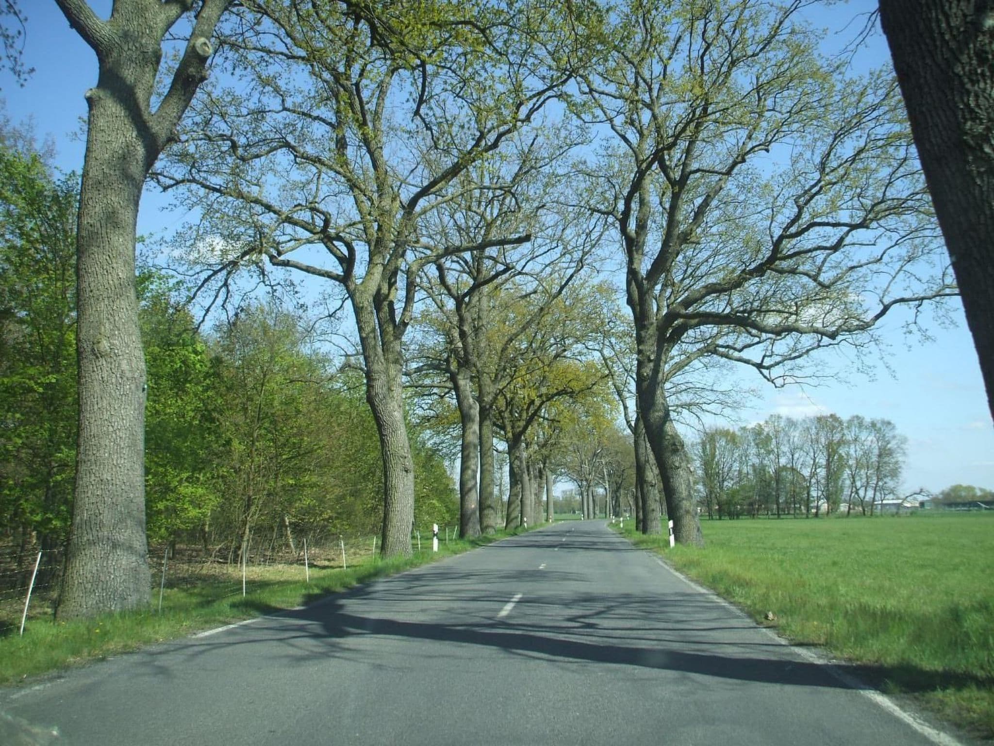 Gallery Image 23