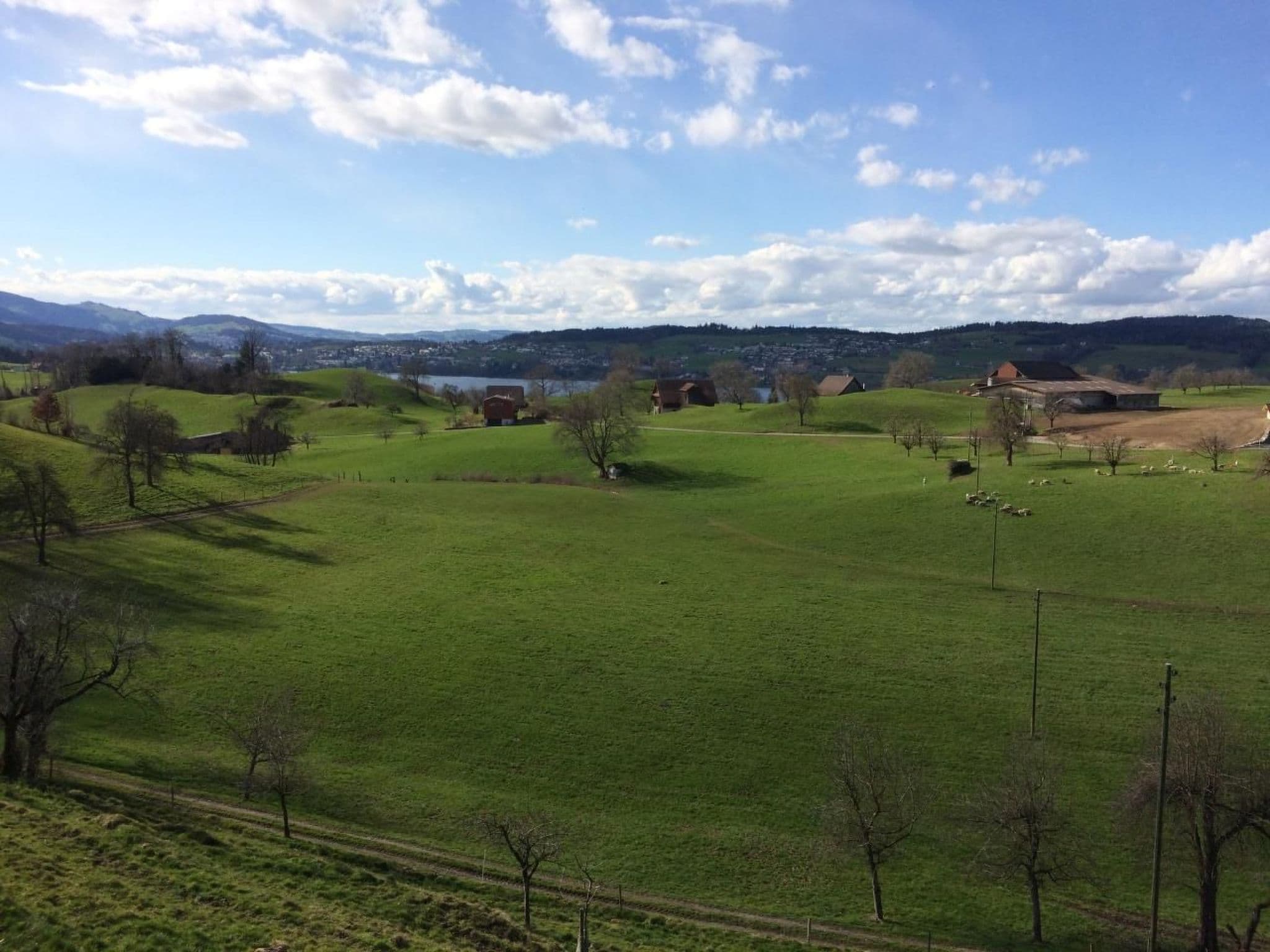 View