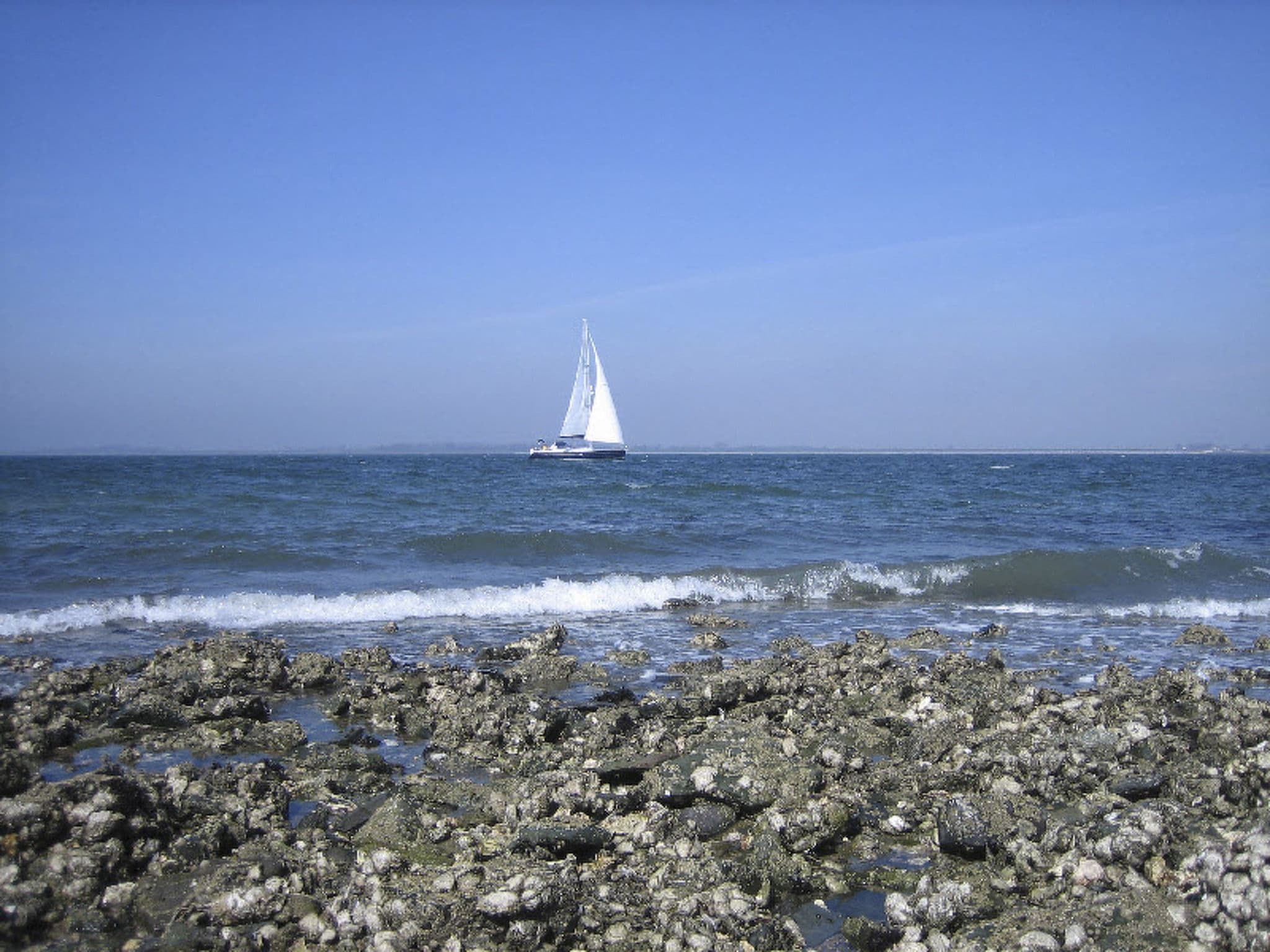 Gallery Image 21