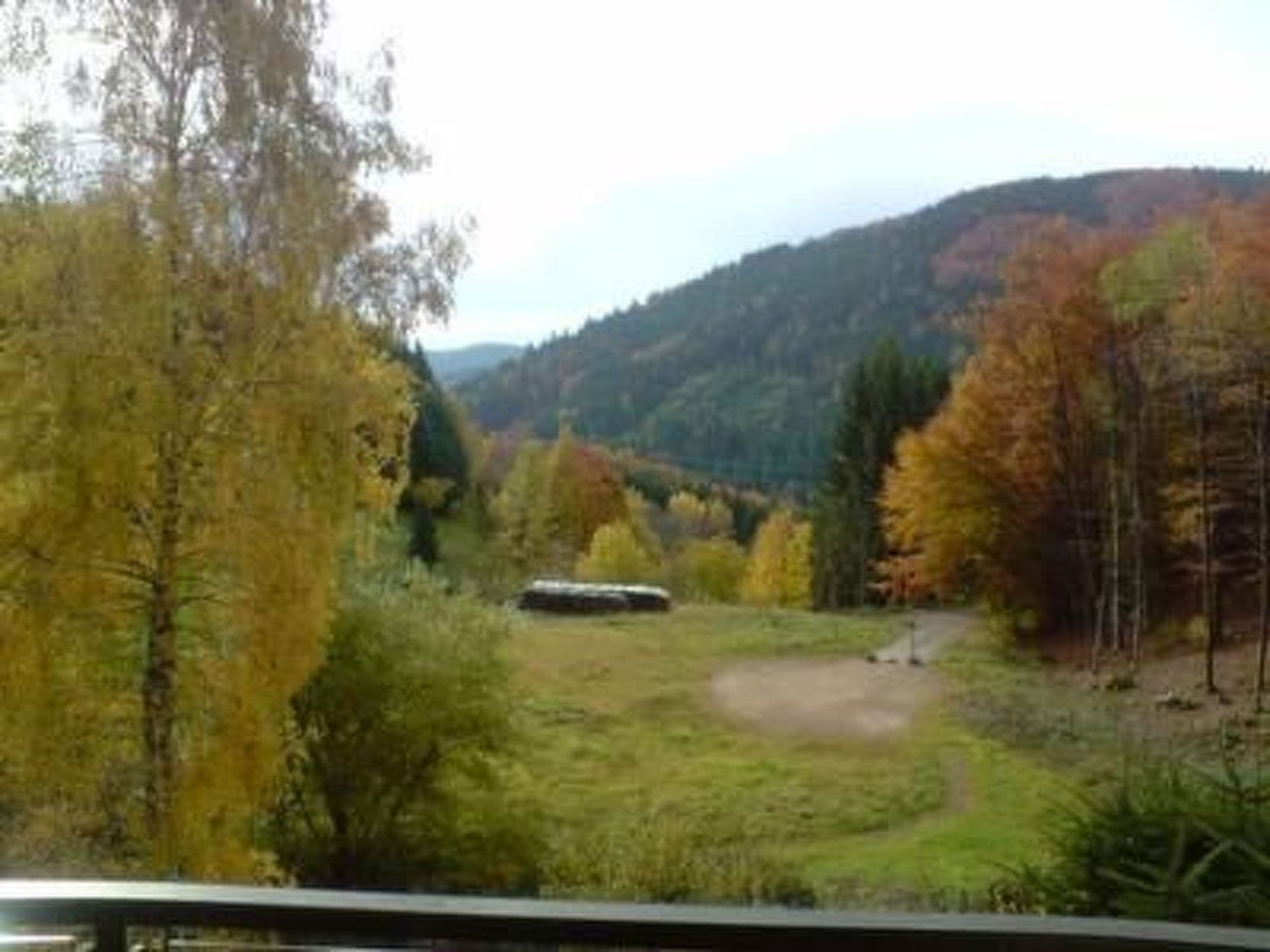 Gallery Image 32