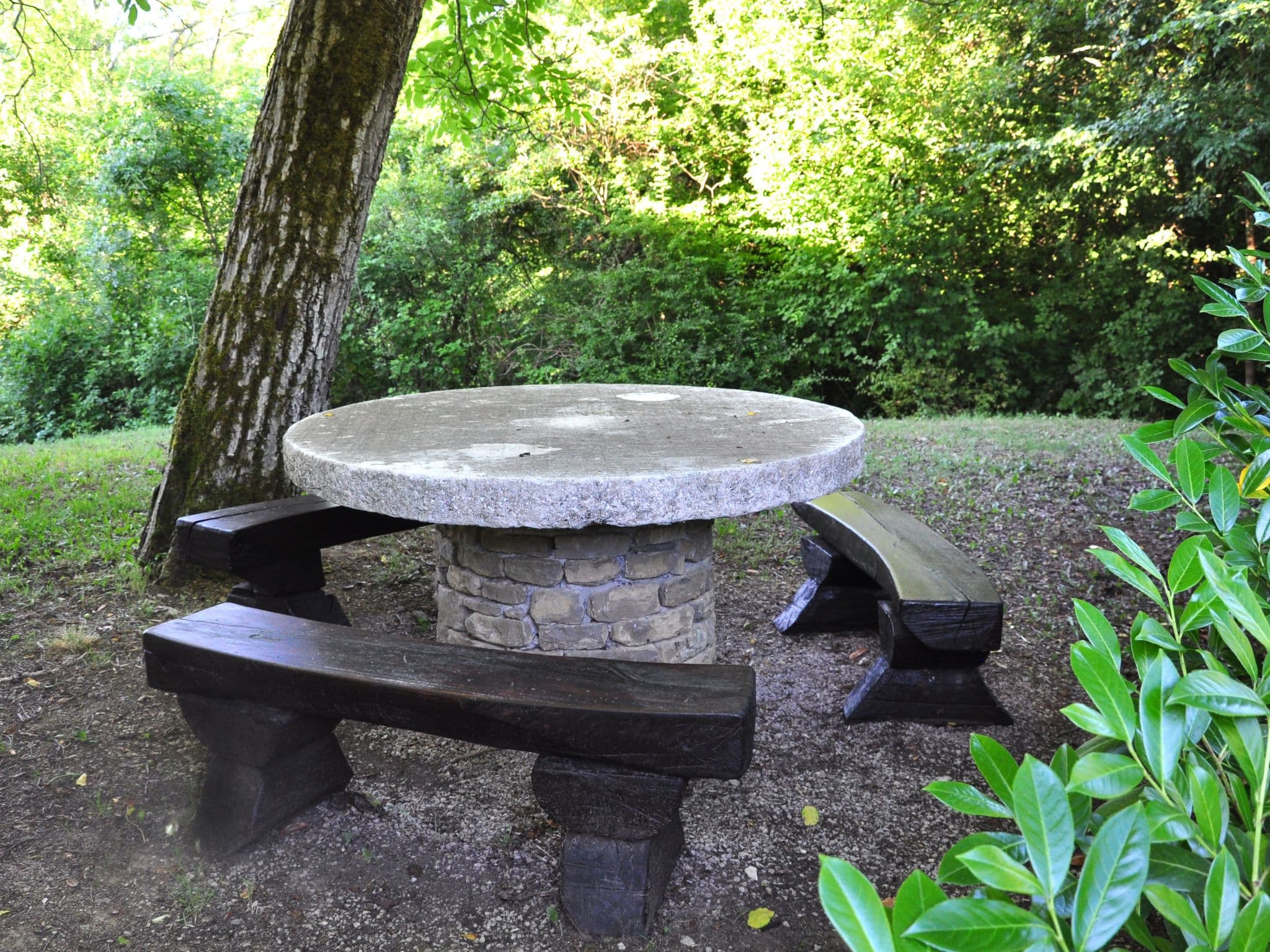 Gallery Image 57
