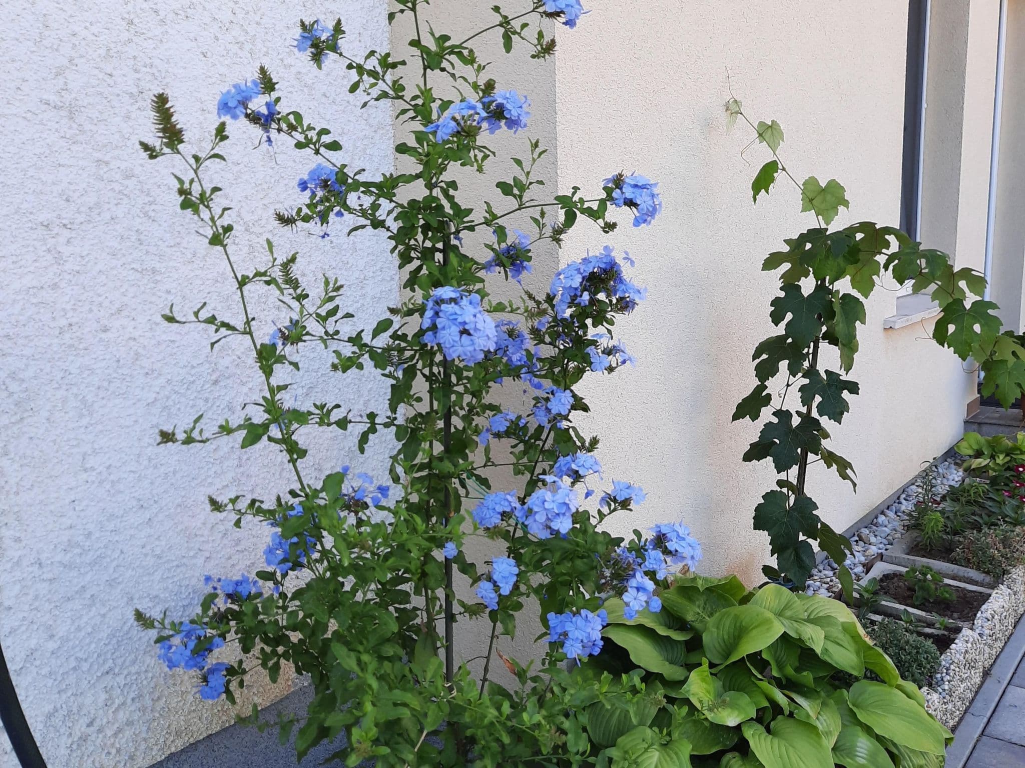 Gallery Image 30