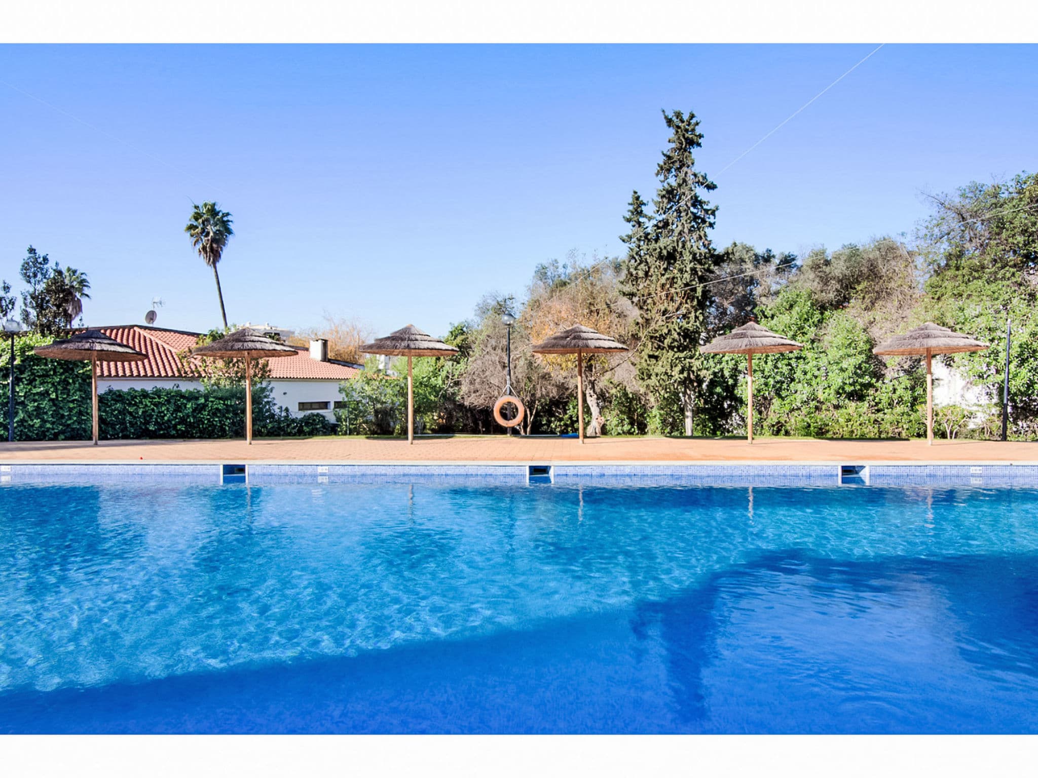 Pool Outdoor
