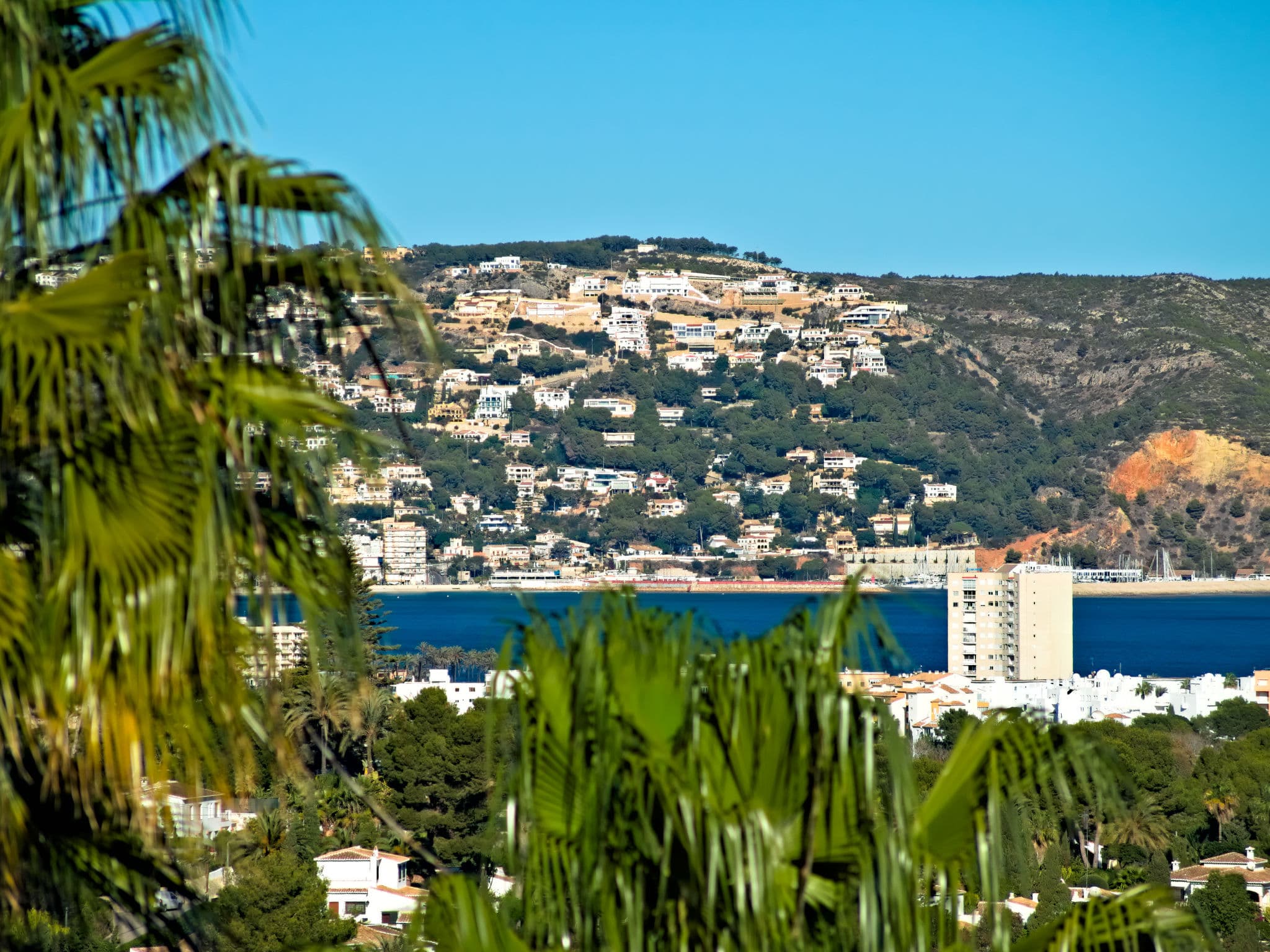 View
