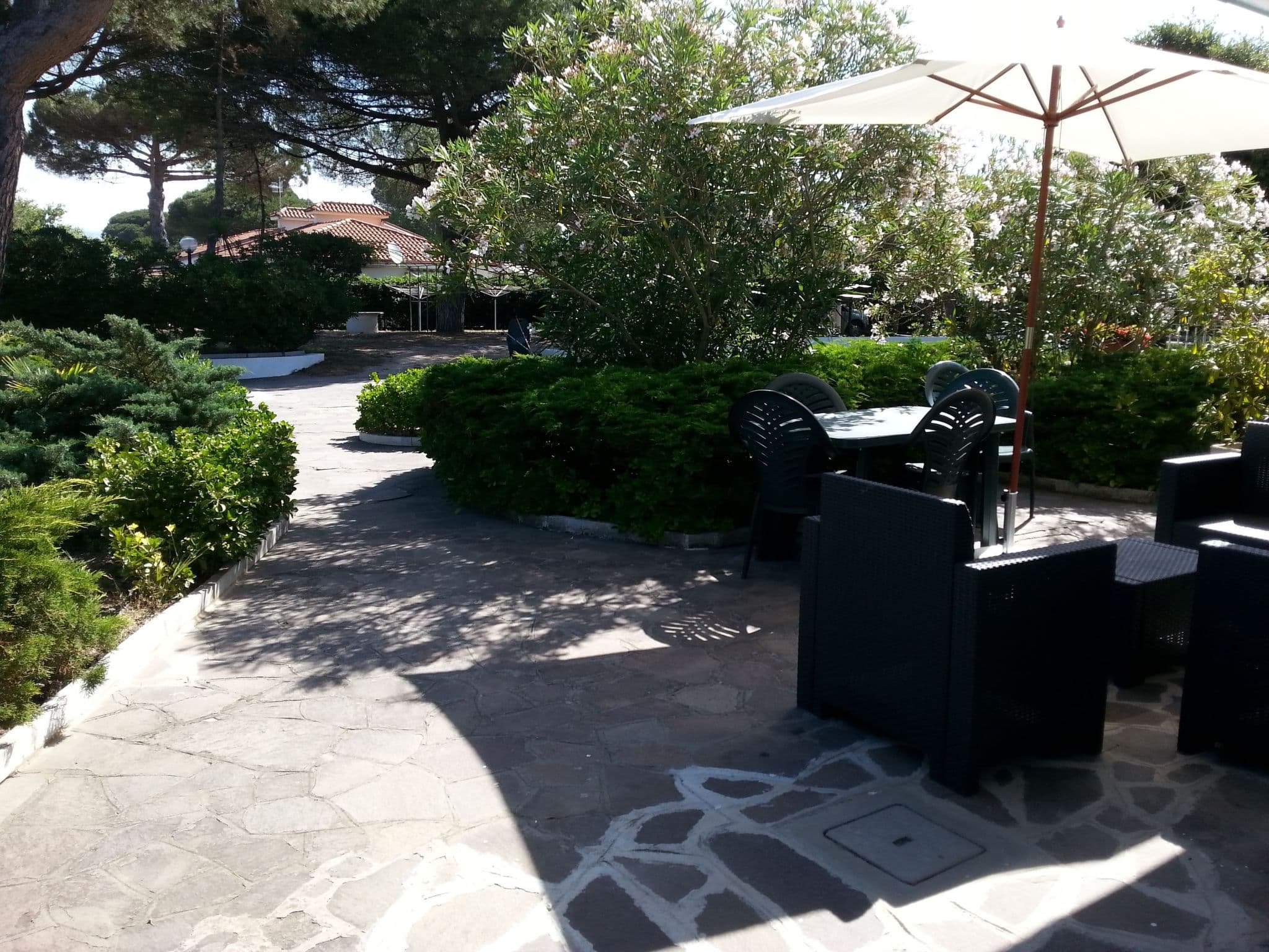 Gallery Image 10