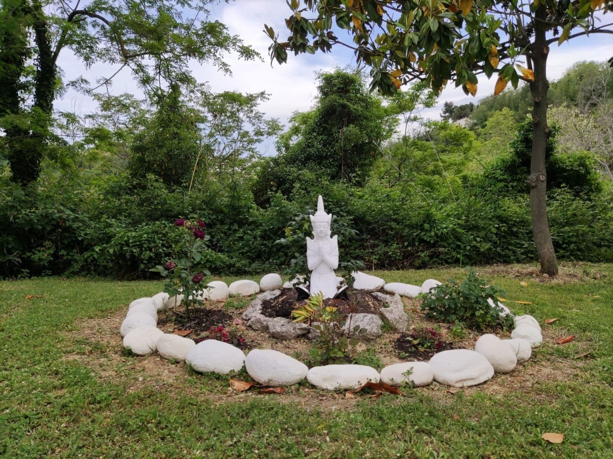 Gallery Image 15