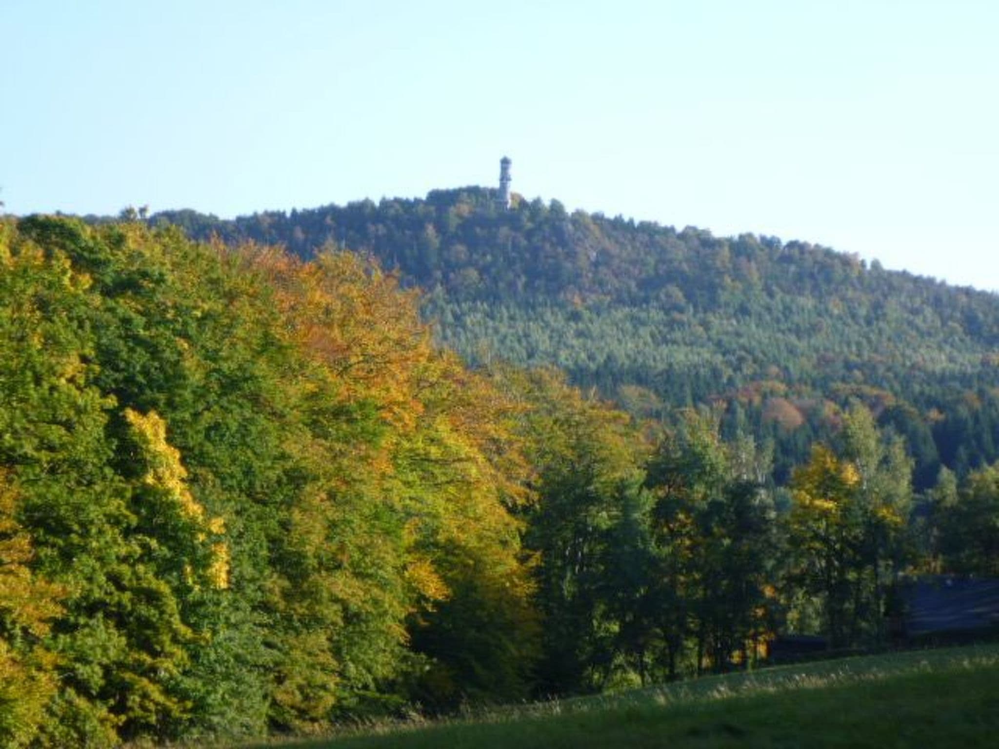 Gallery Image 19