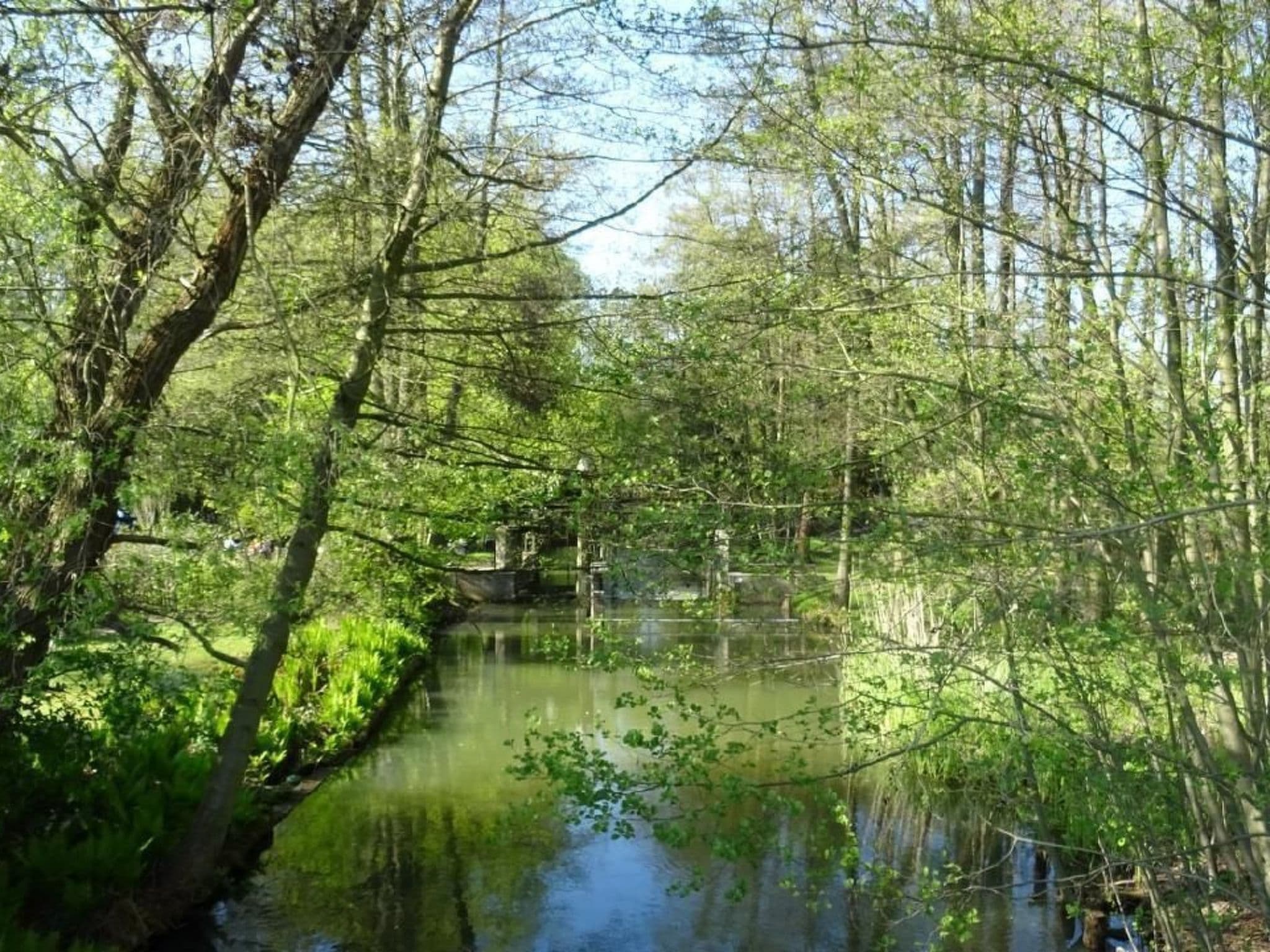 Gallery Image 21