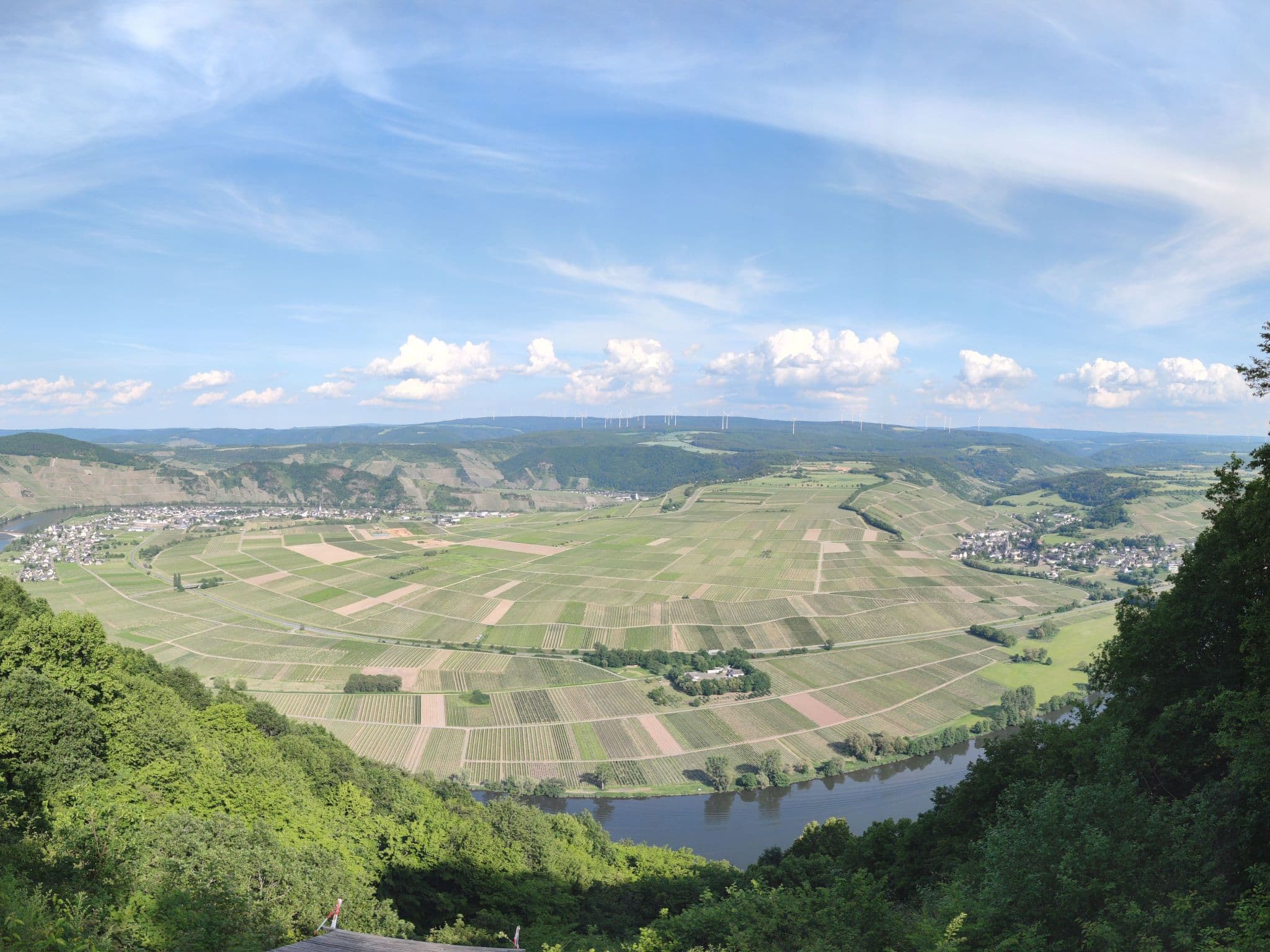 View