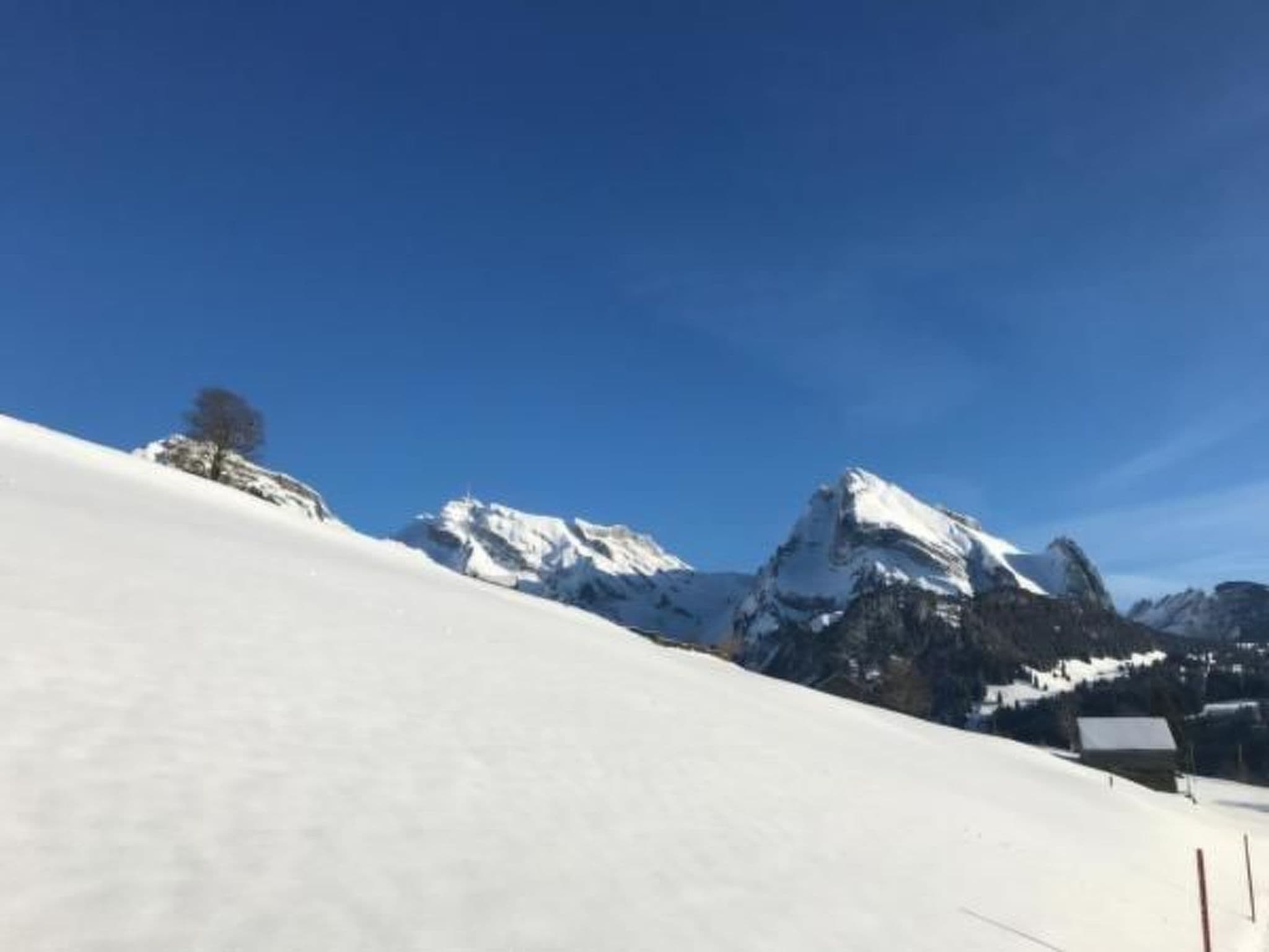Gallery Image 41