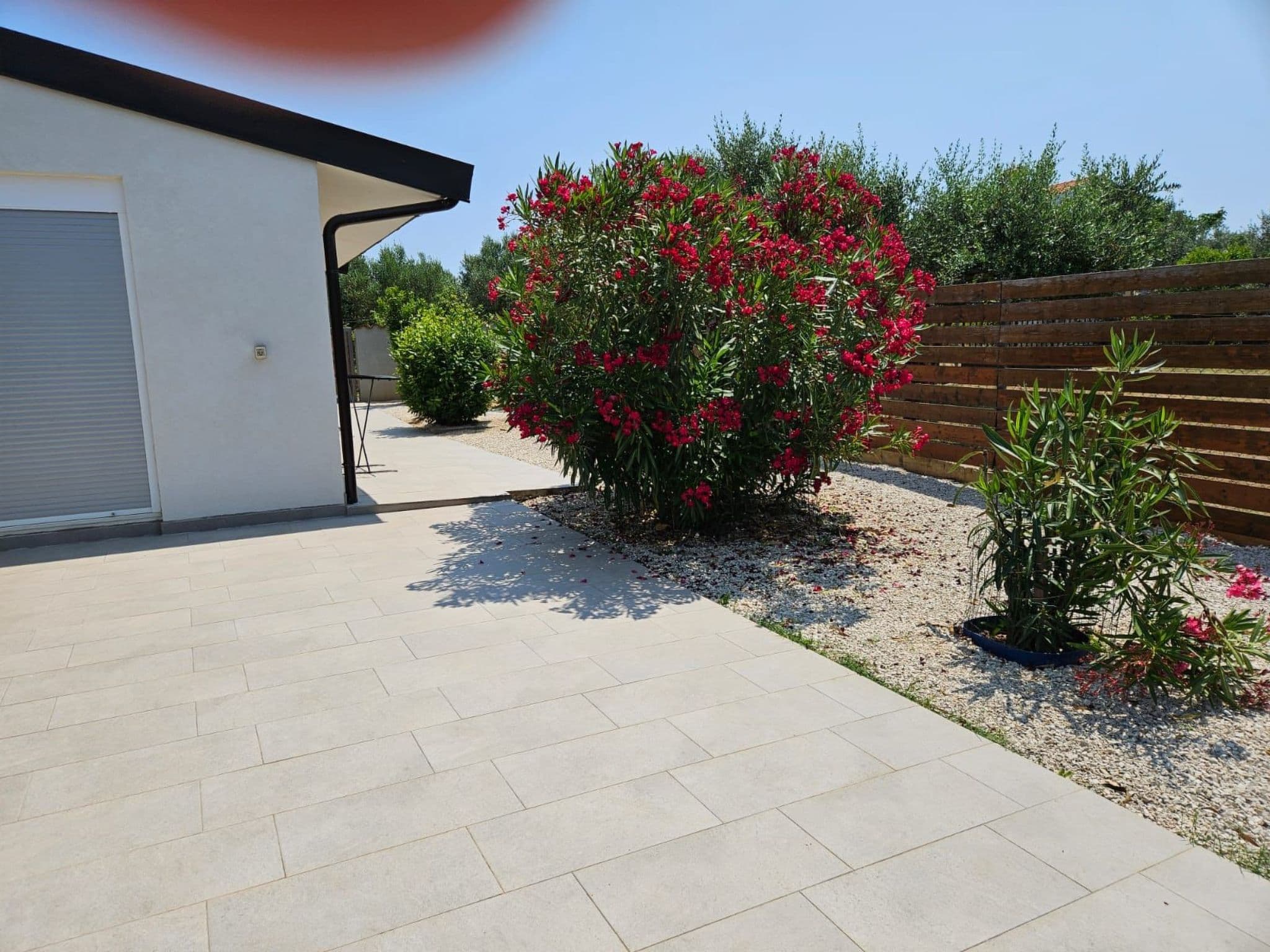 Gallery Image 33