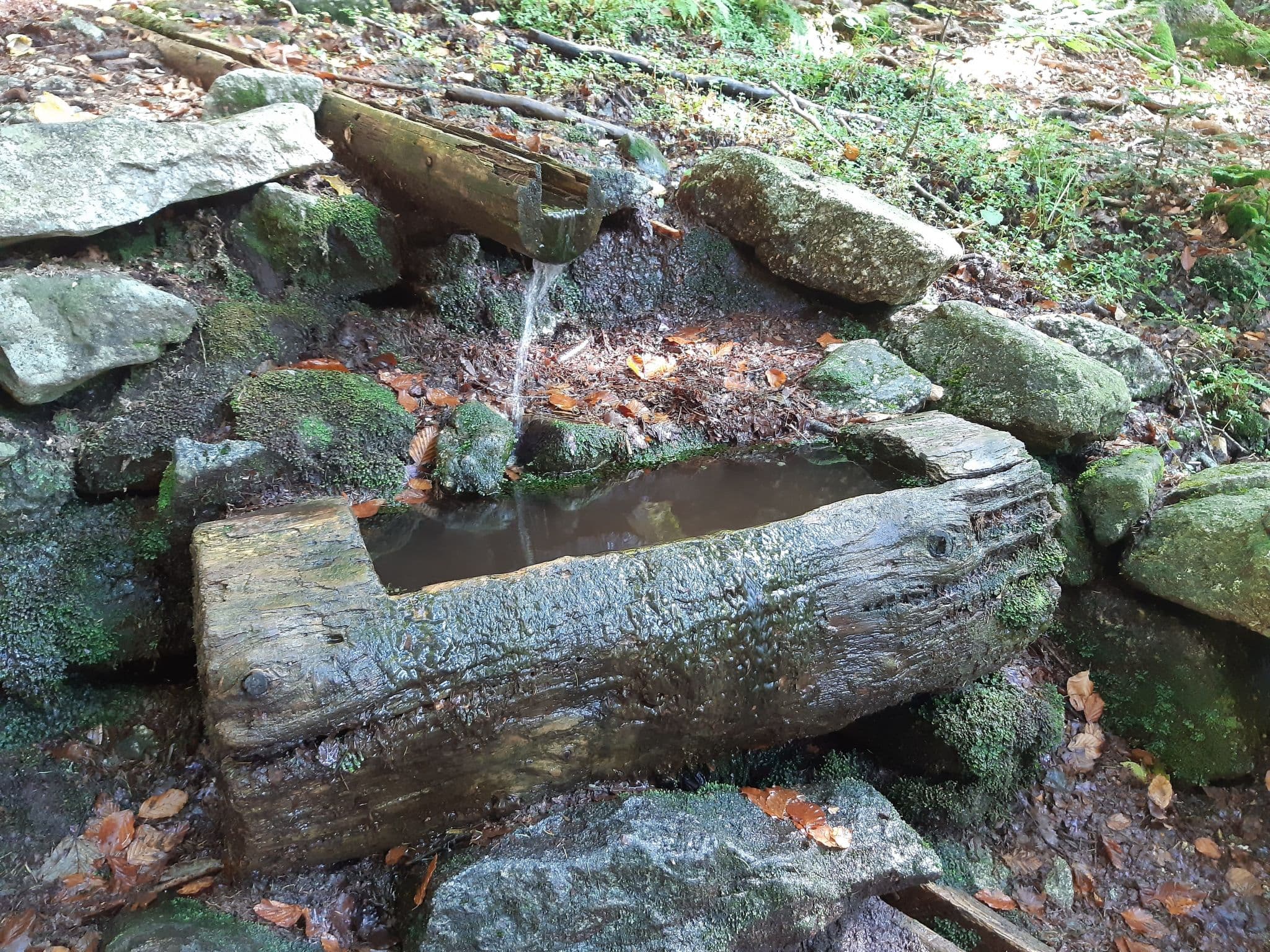 Gallery Image 23