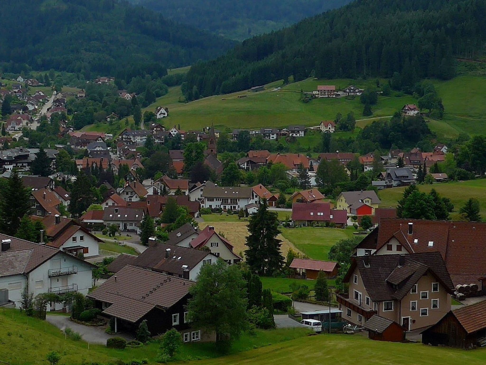 View