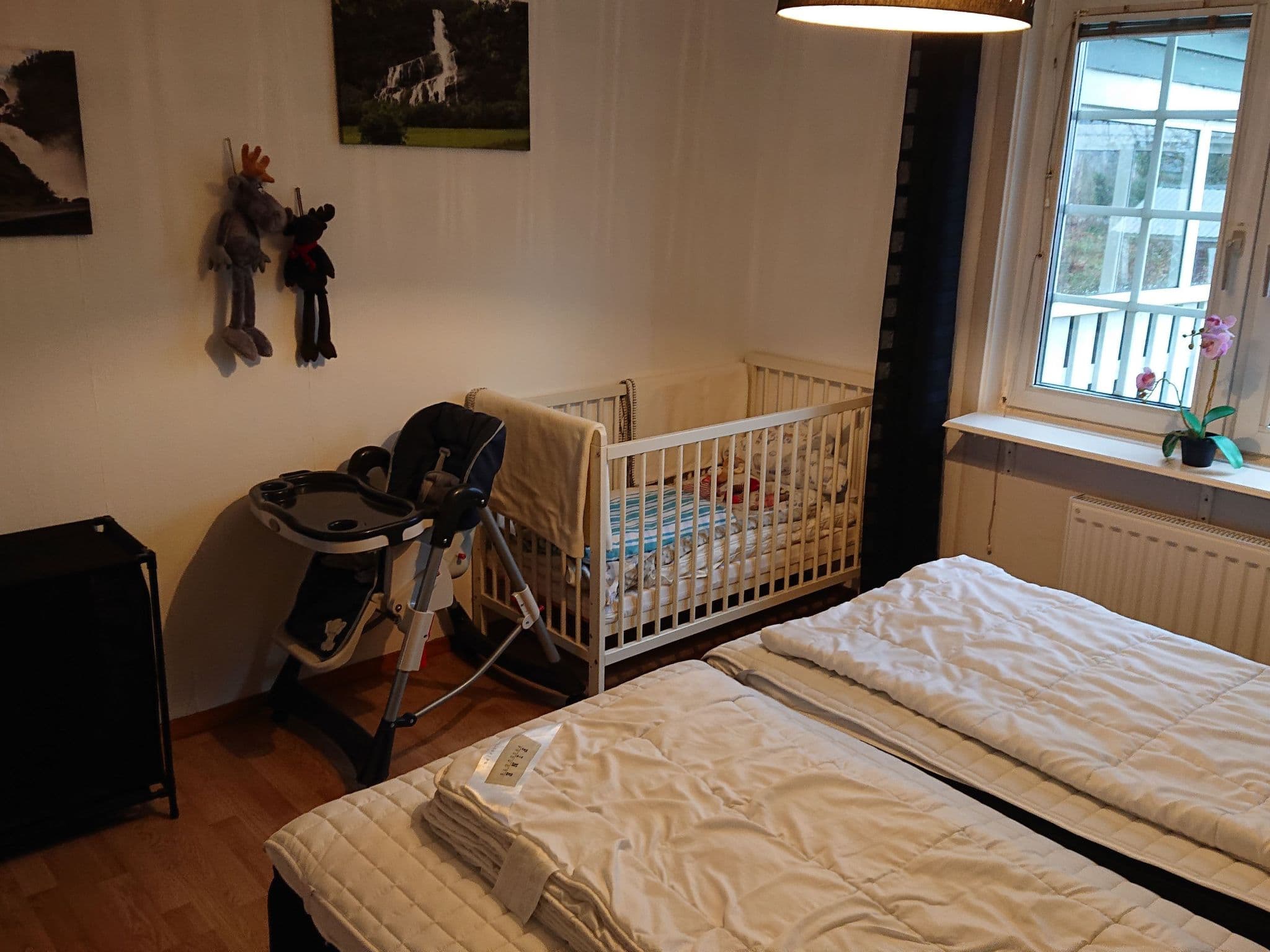 Gallery Image 12