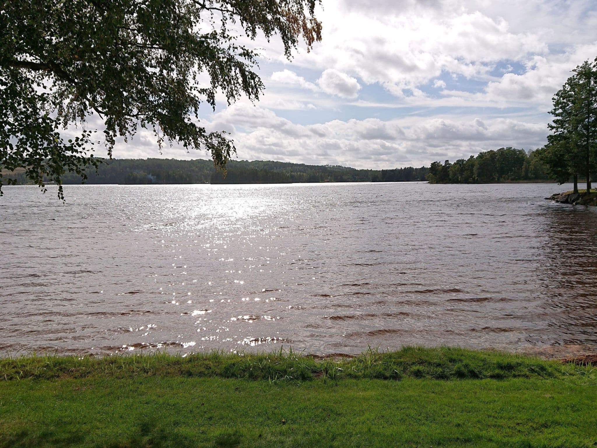 Gallery Image 37