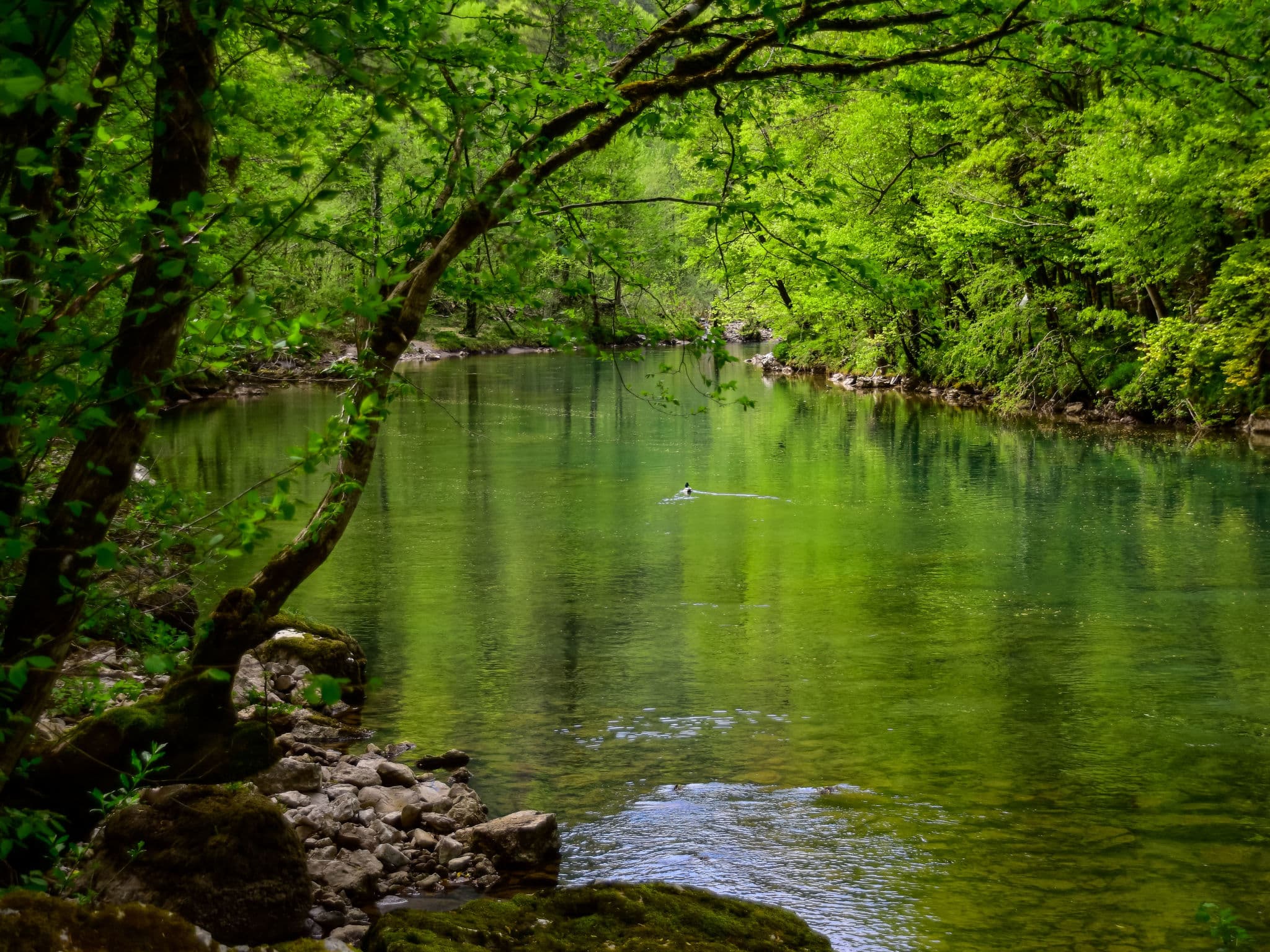 Outdoor