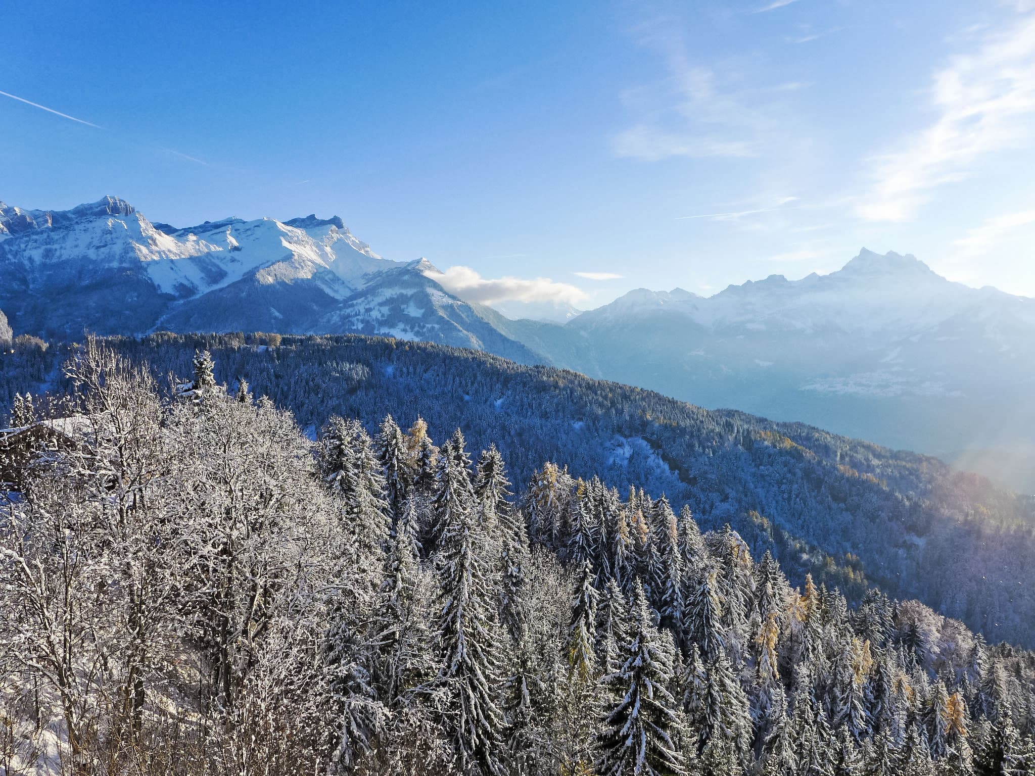 View