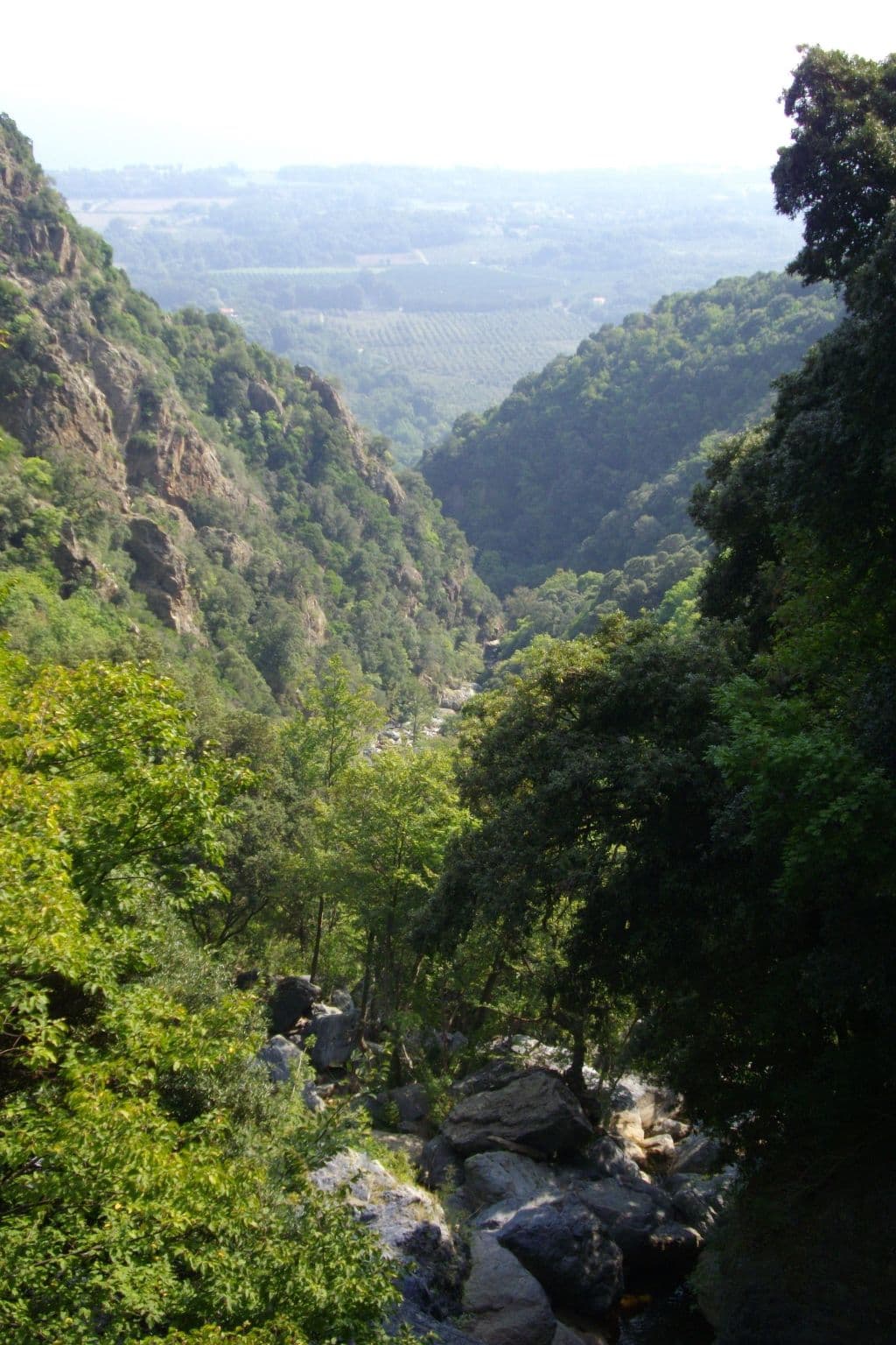 Gallery Image 27