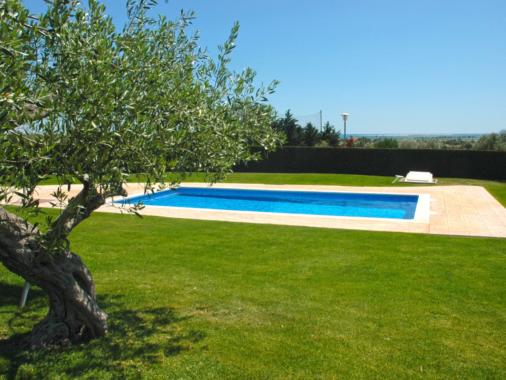 Pool Outdoor