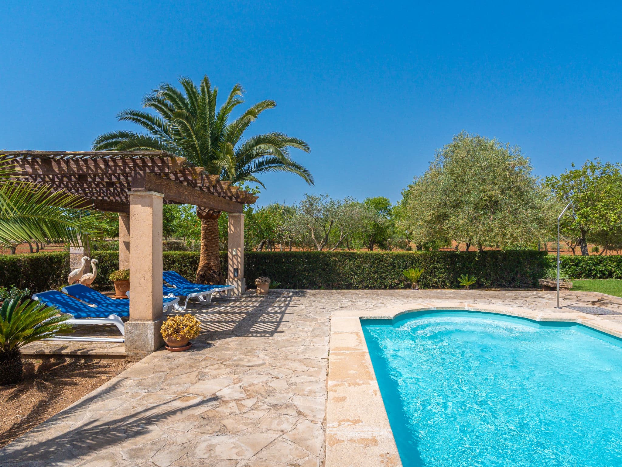 Pool Outdoor