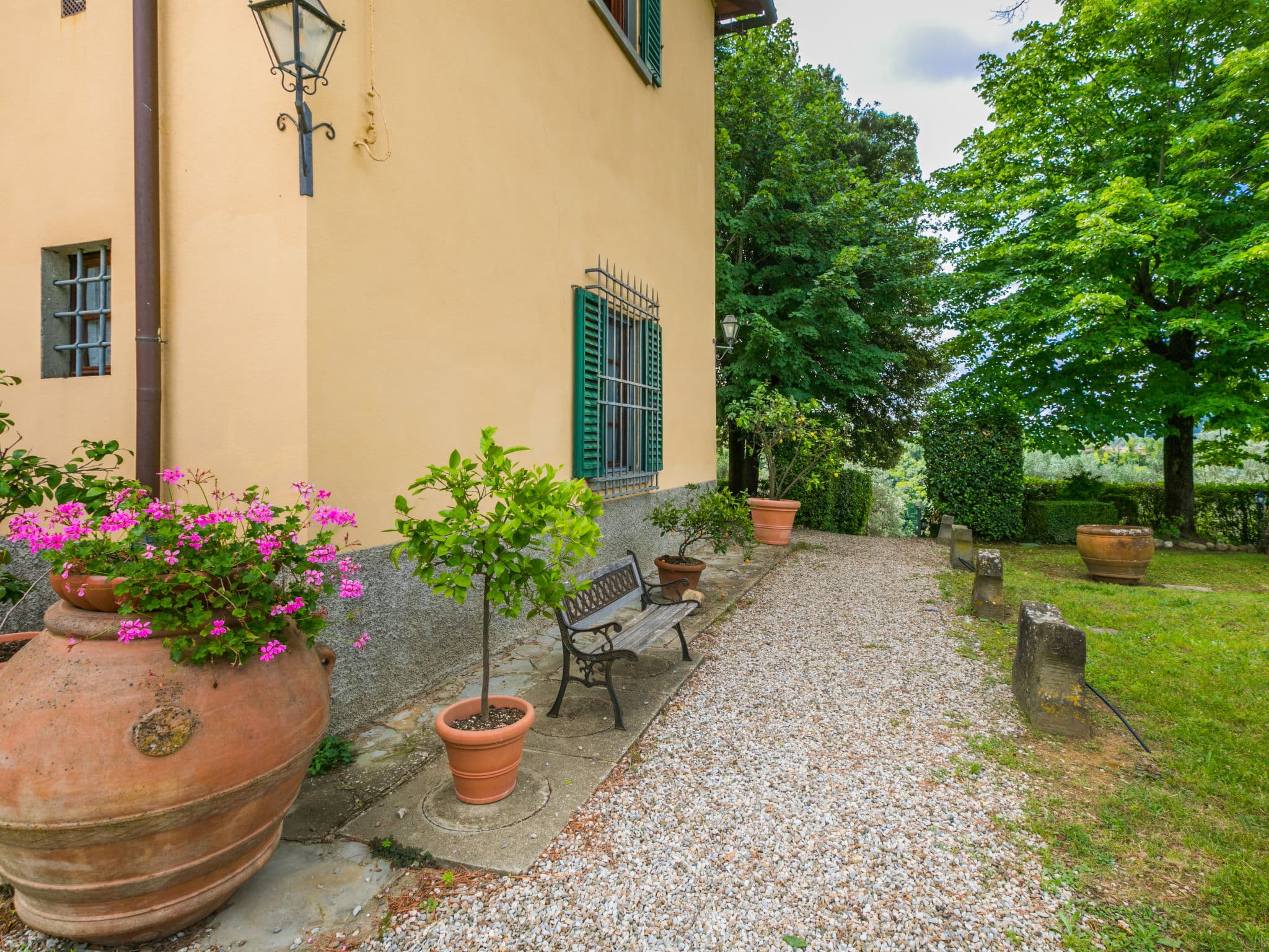 Terrace