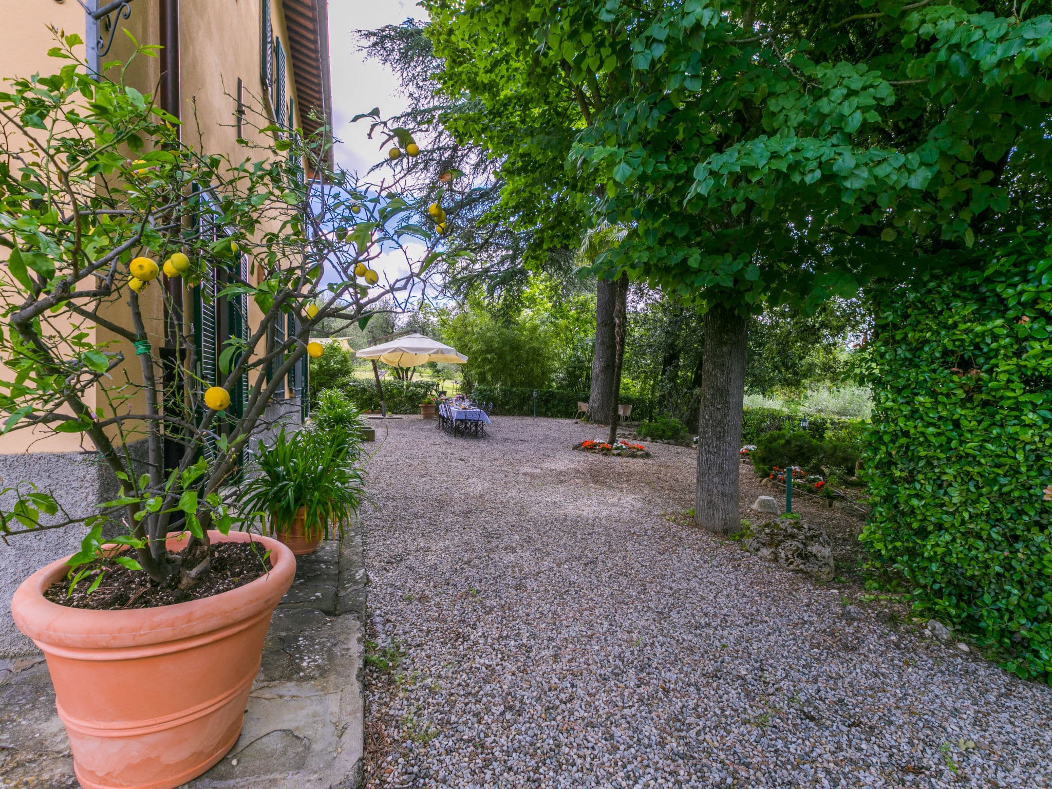 Terrace