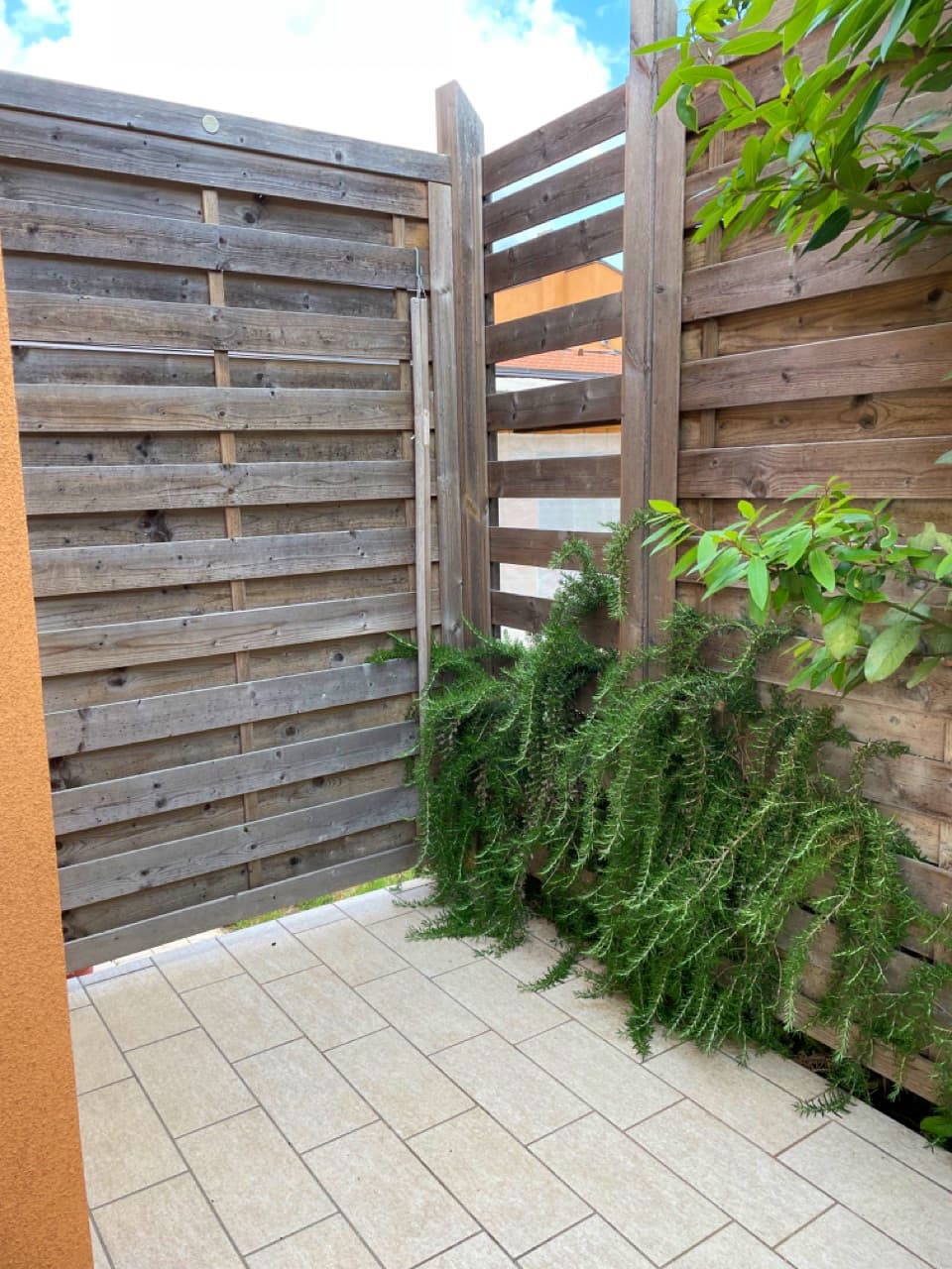 balcony and rosemary