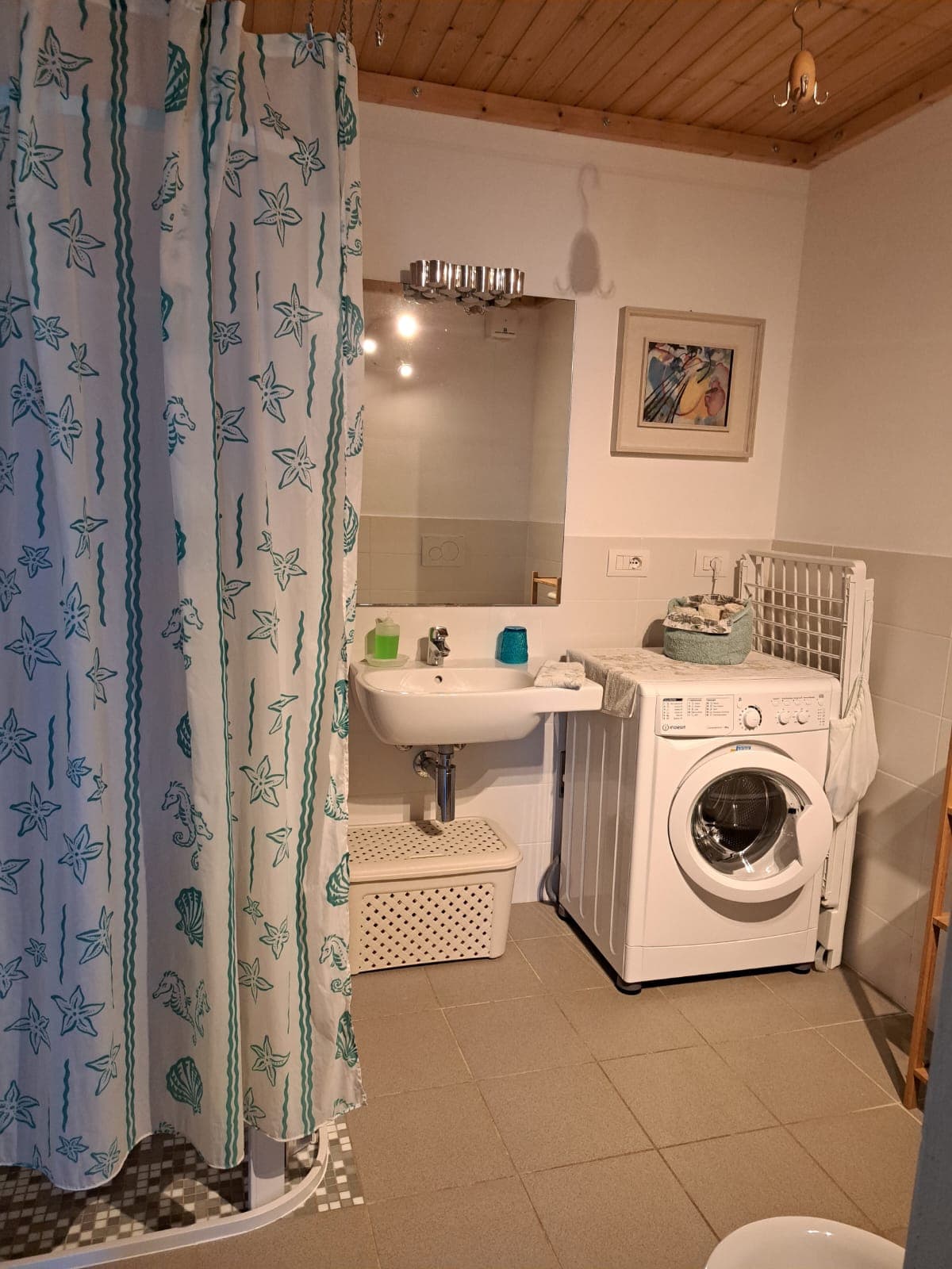 green bathroom, 2,5mX2,5m wide, wheelchair accessible, art on the wall, powder for washing machine