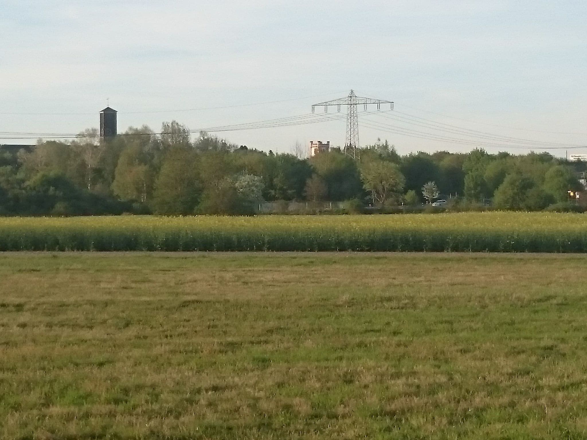 View