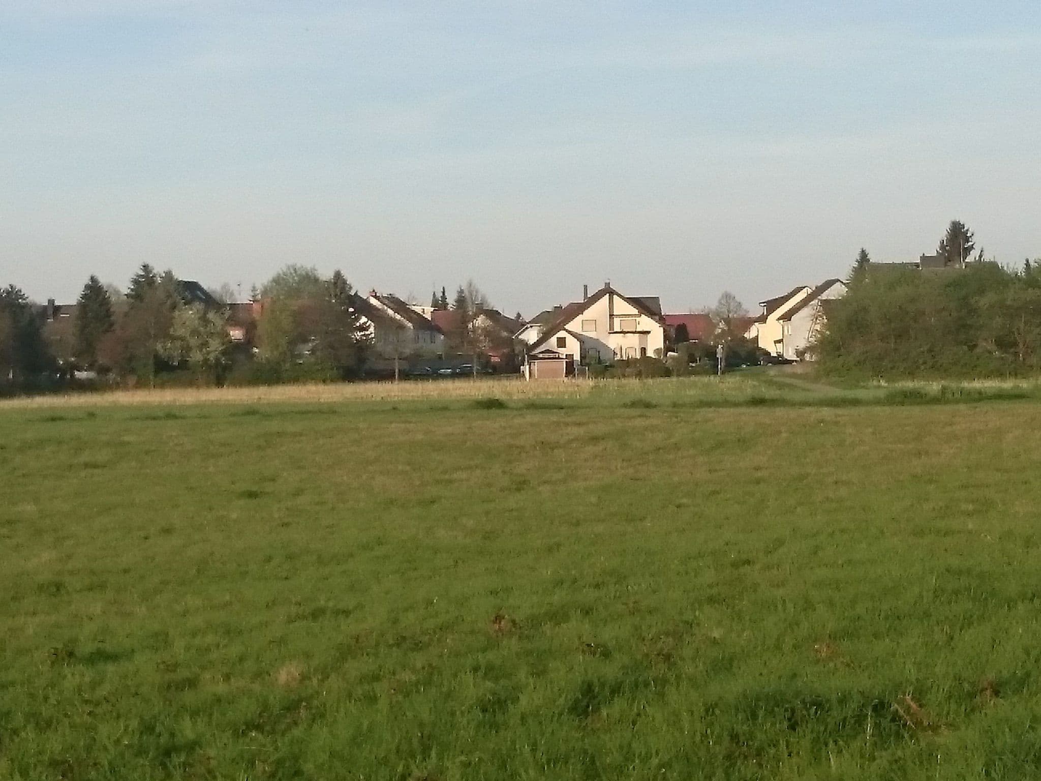 Gallery Image 38