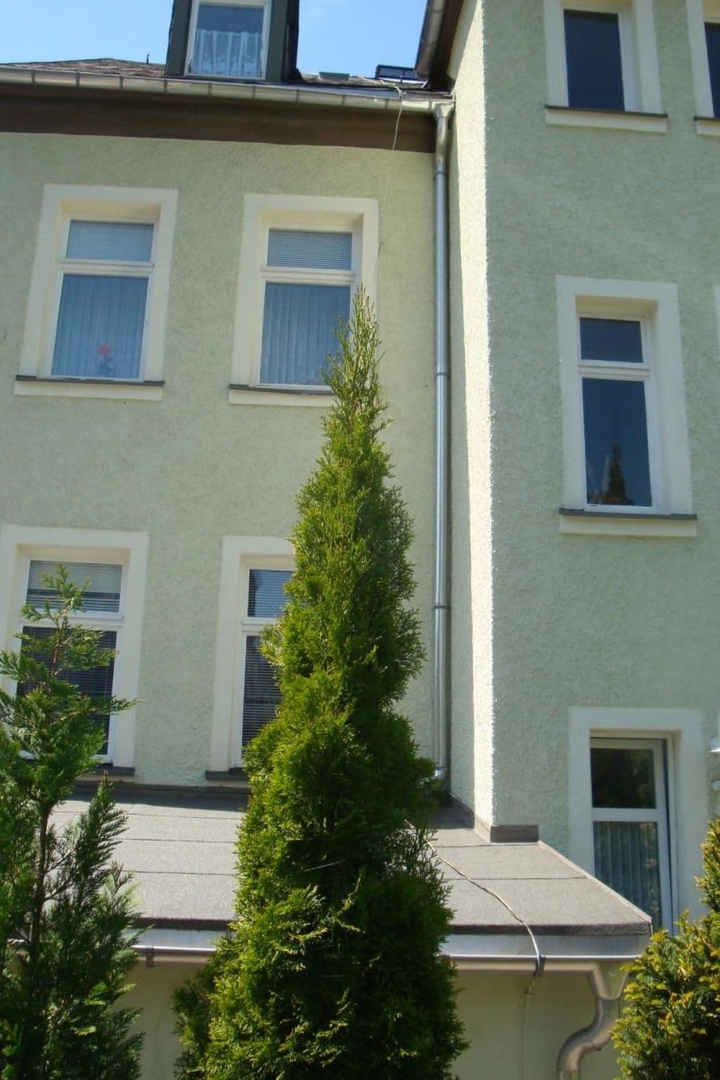 Gallery Image 11