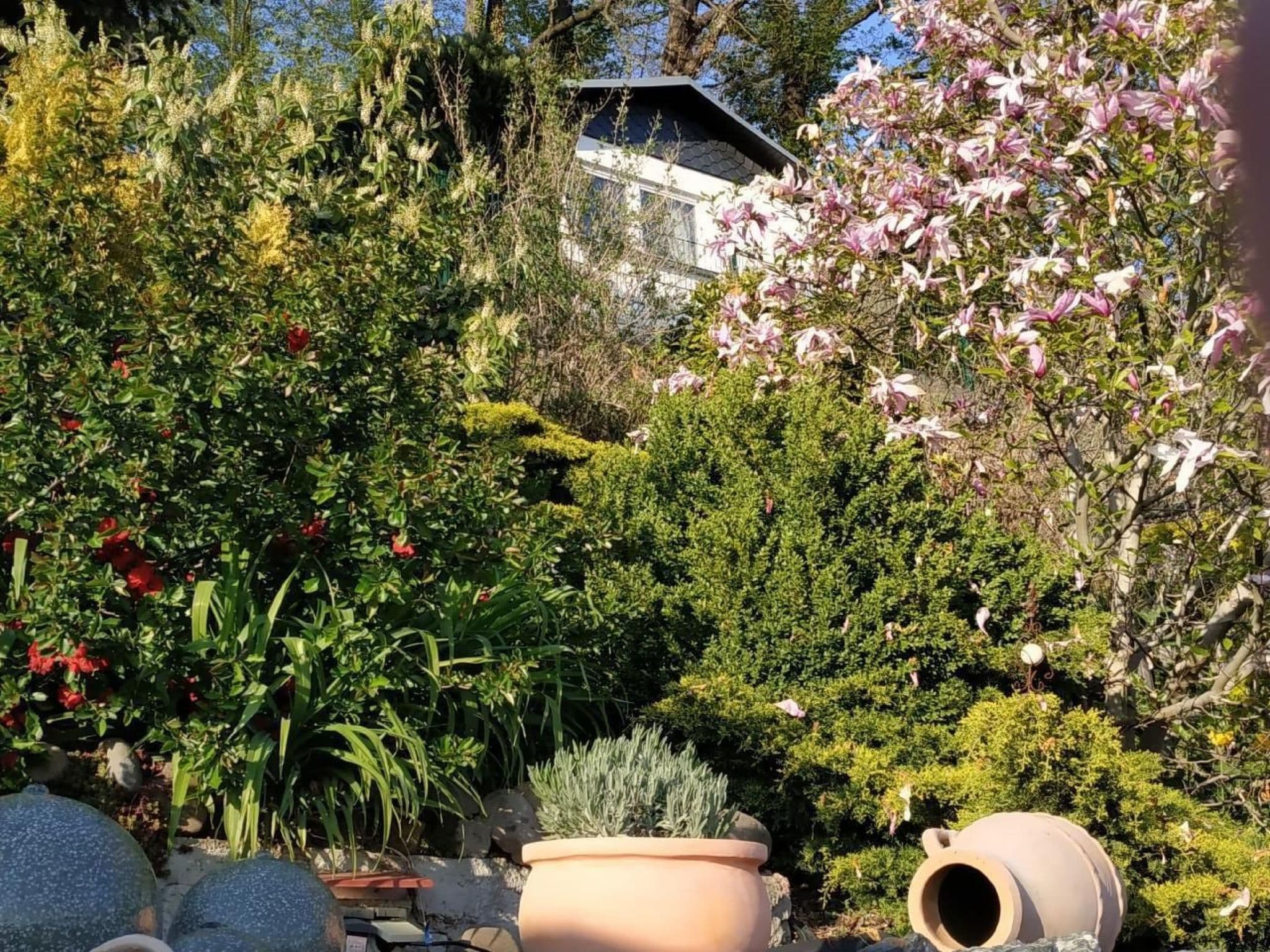 Gallery Image 17