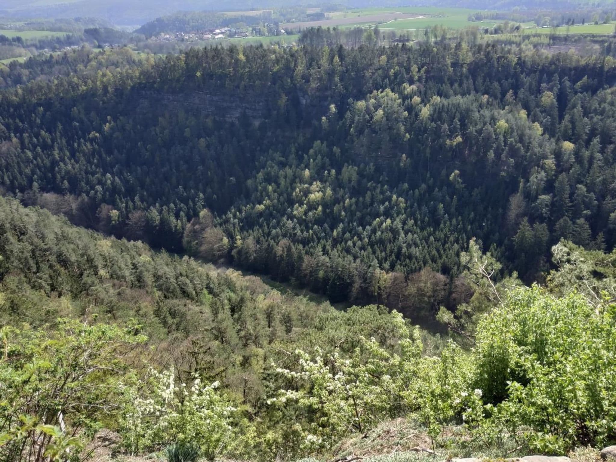 View