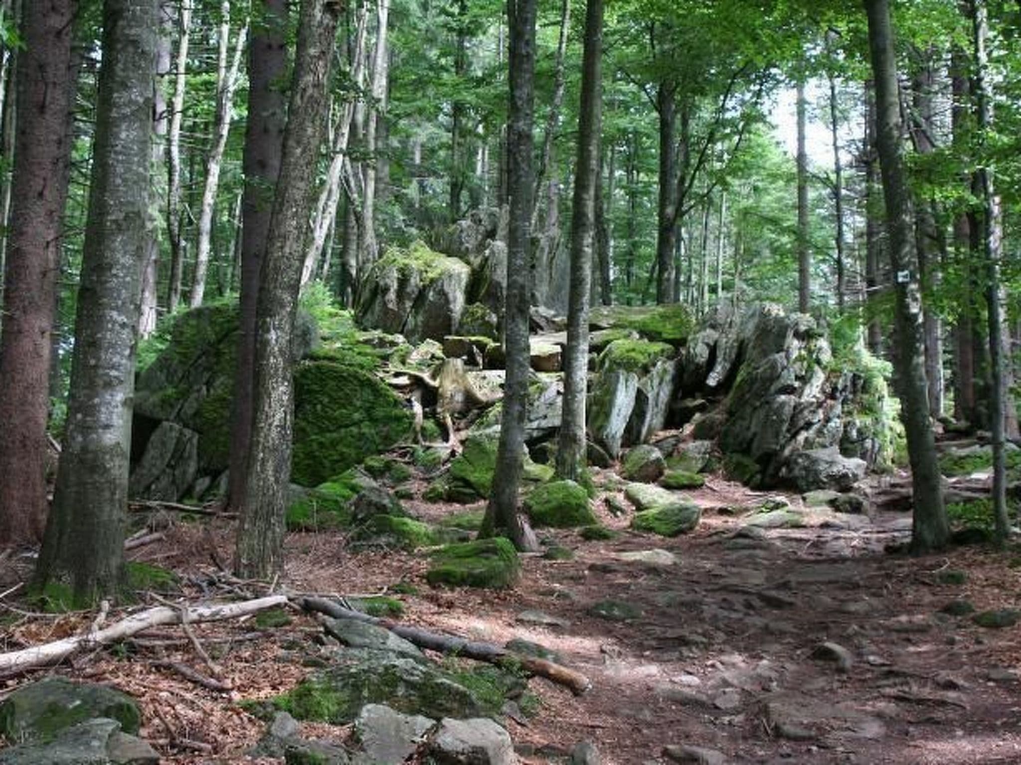 Gallery Image 13