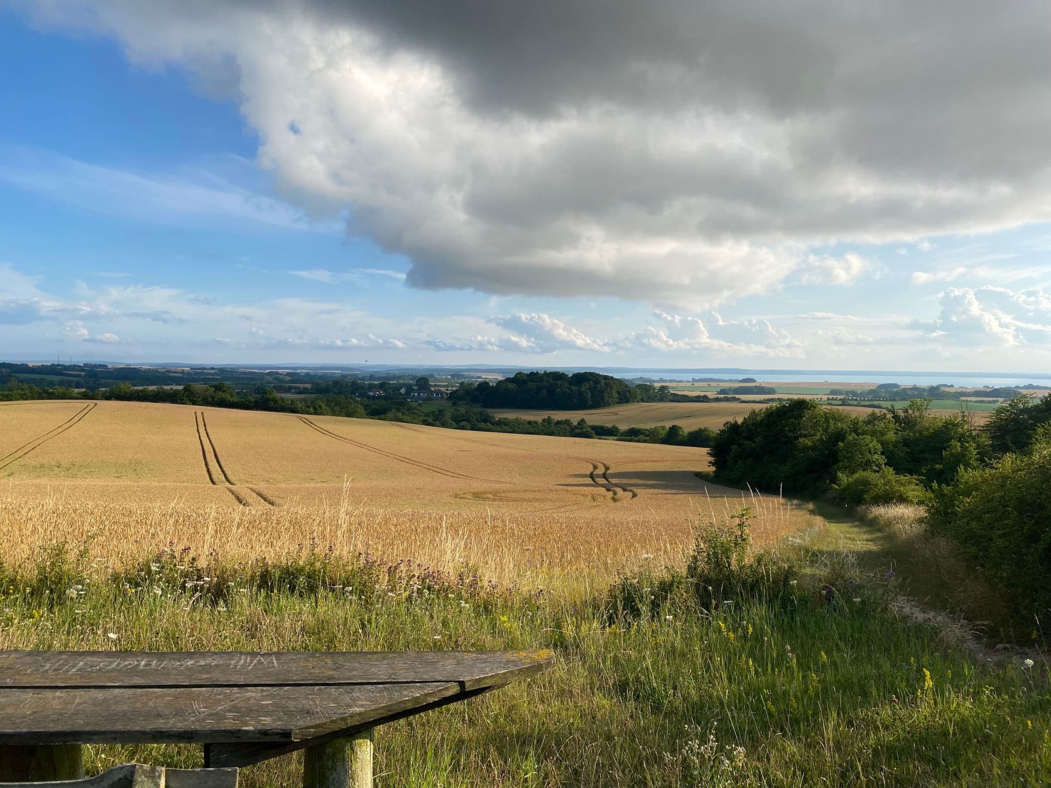 View