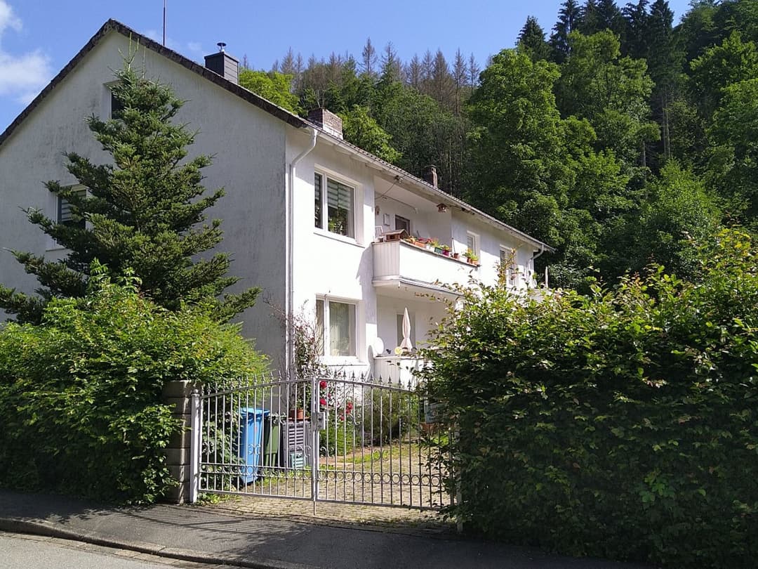 Large Image