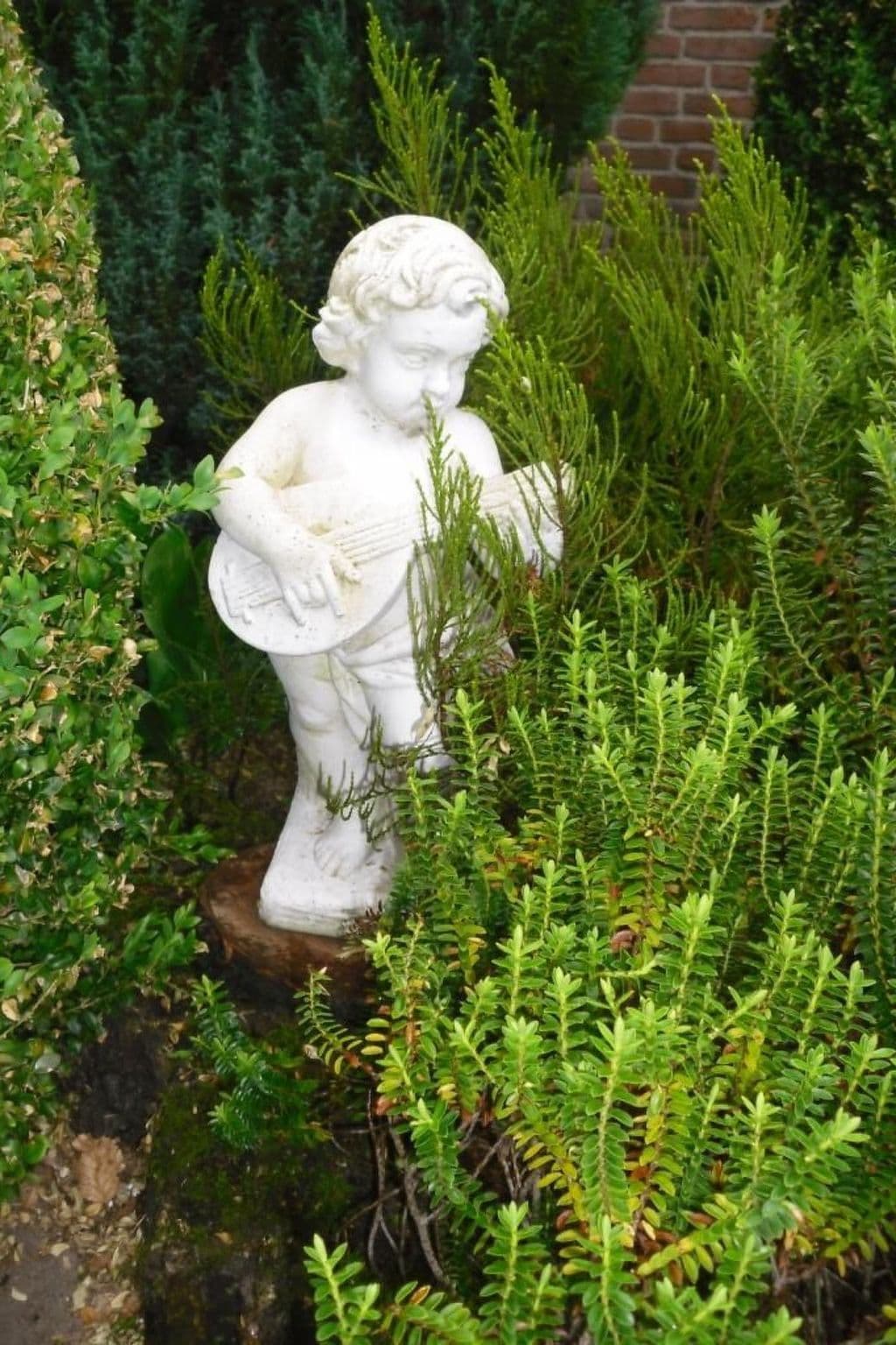Gallery Image 21