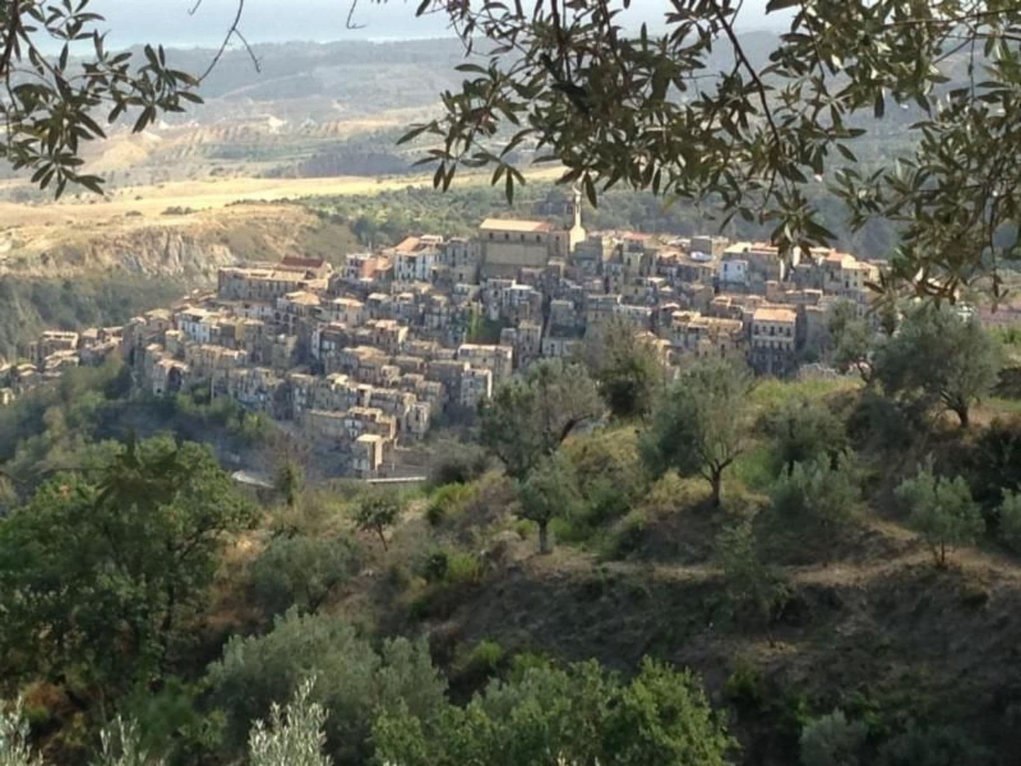View