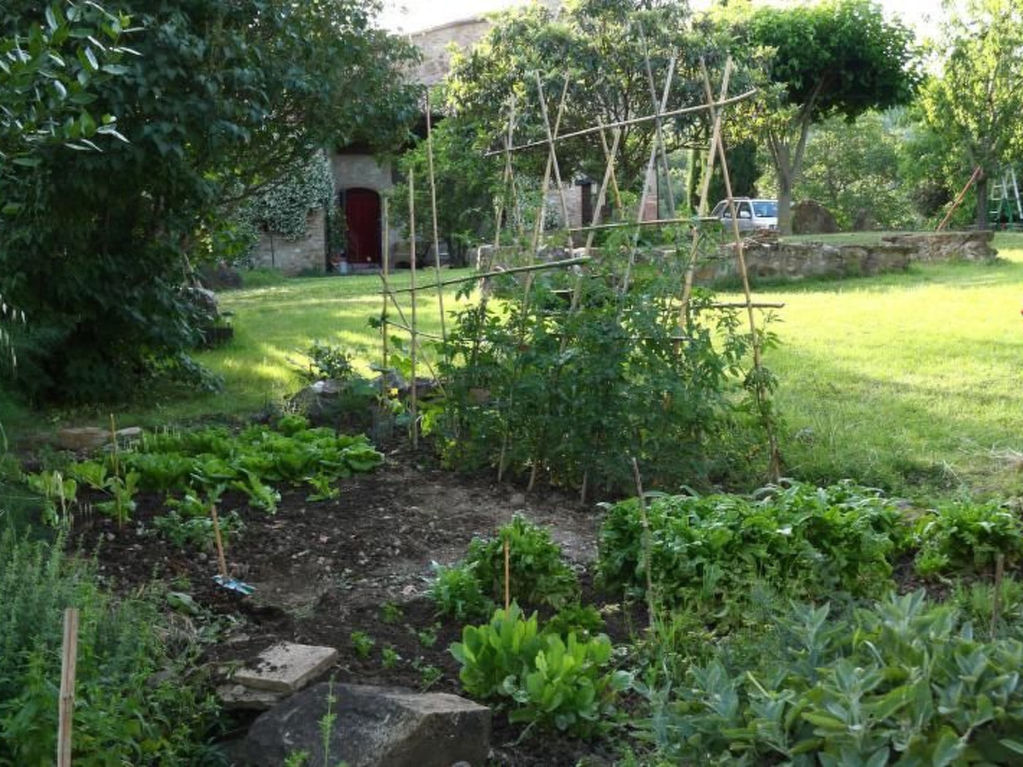 Gallery Image 14