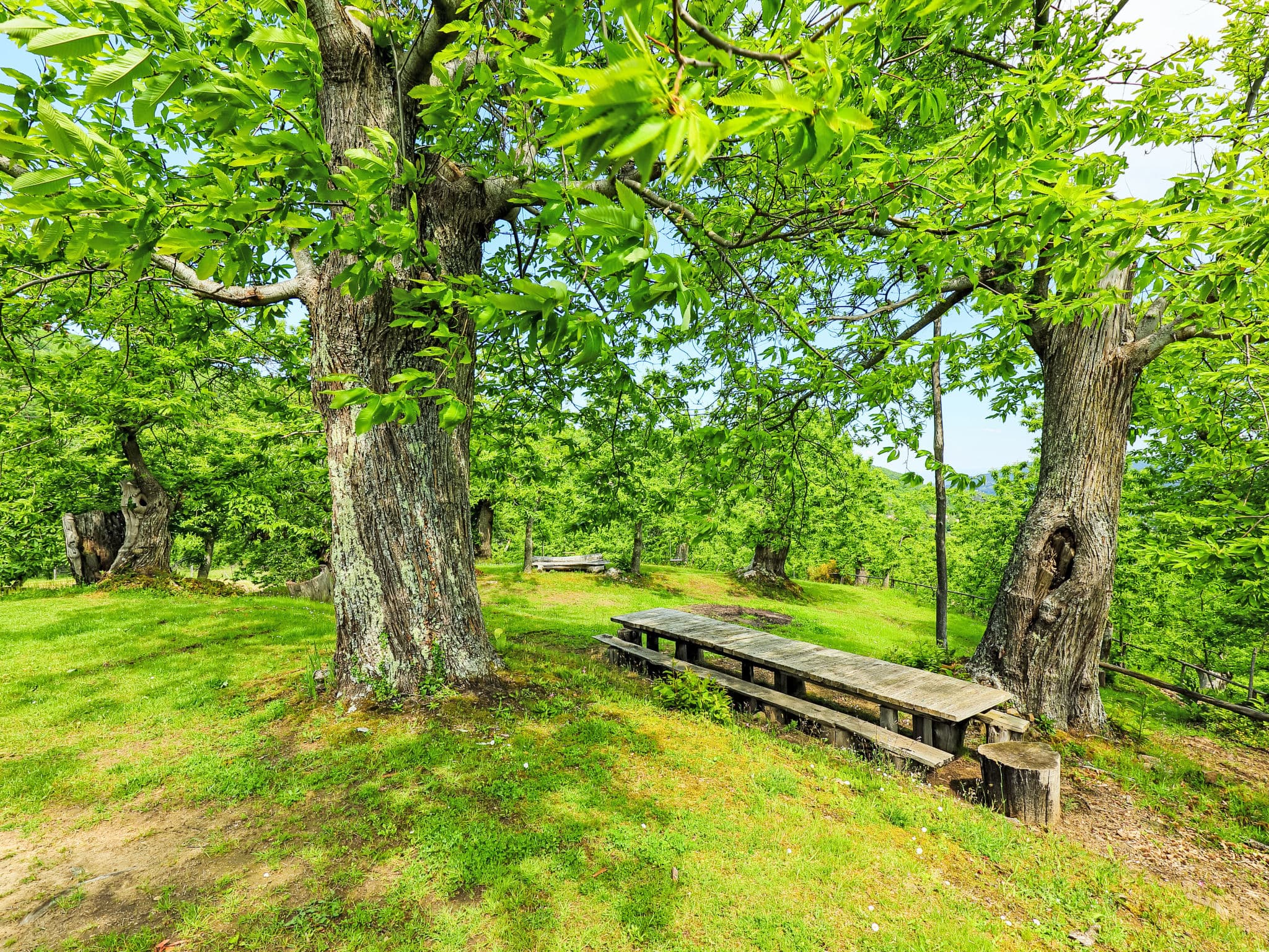 Outdoor