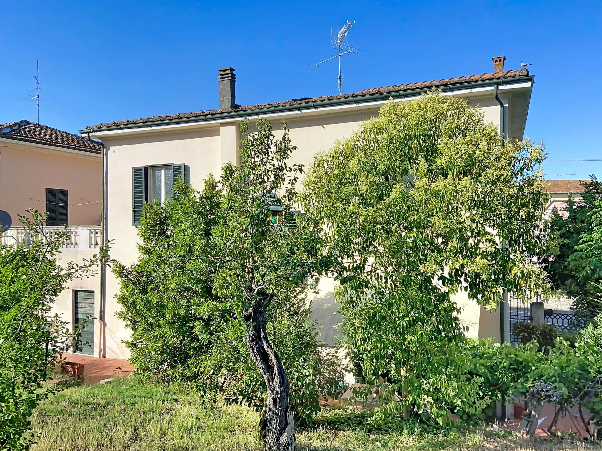 House