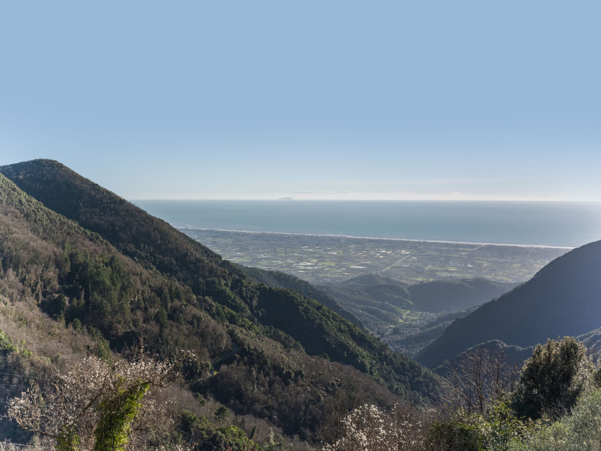View