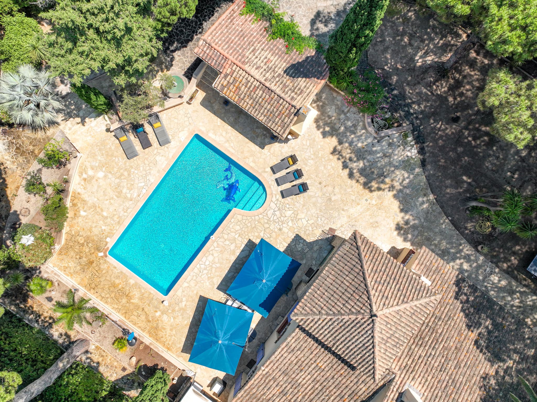Aerial photography