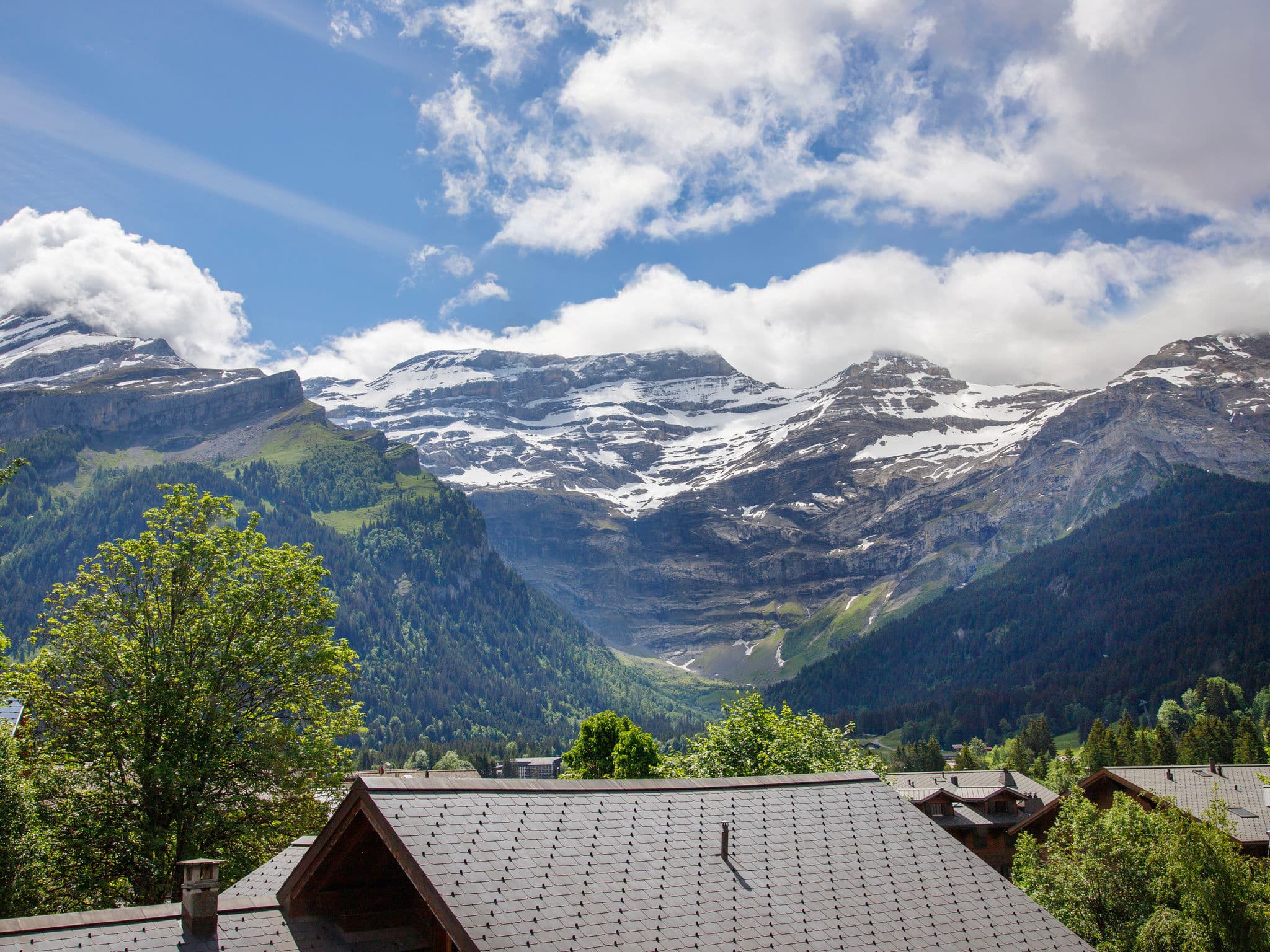 View