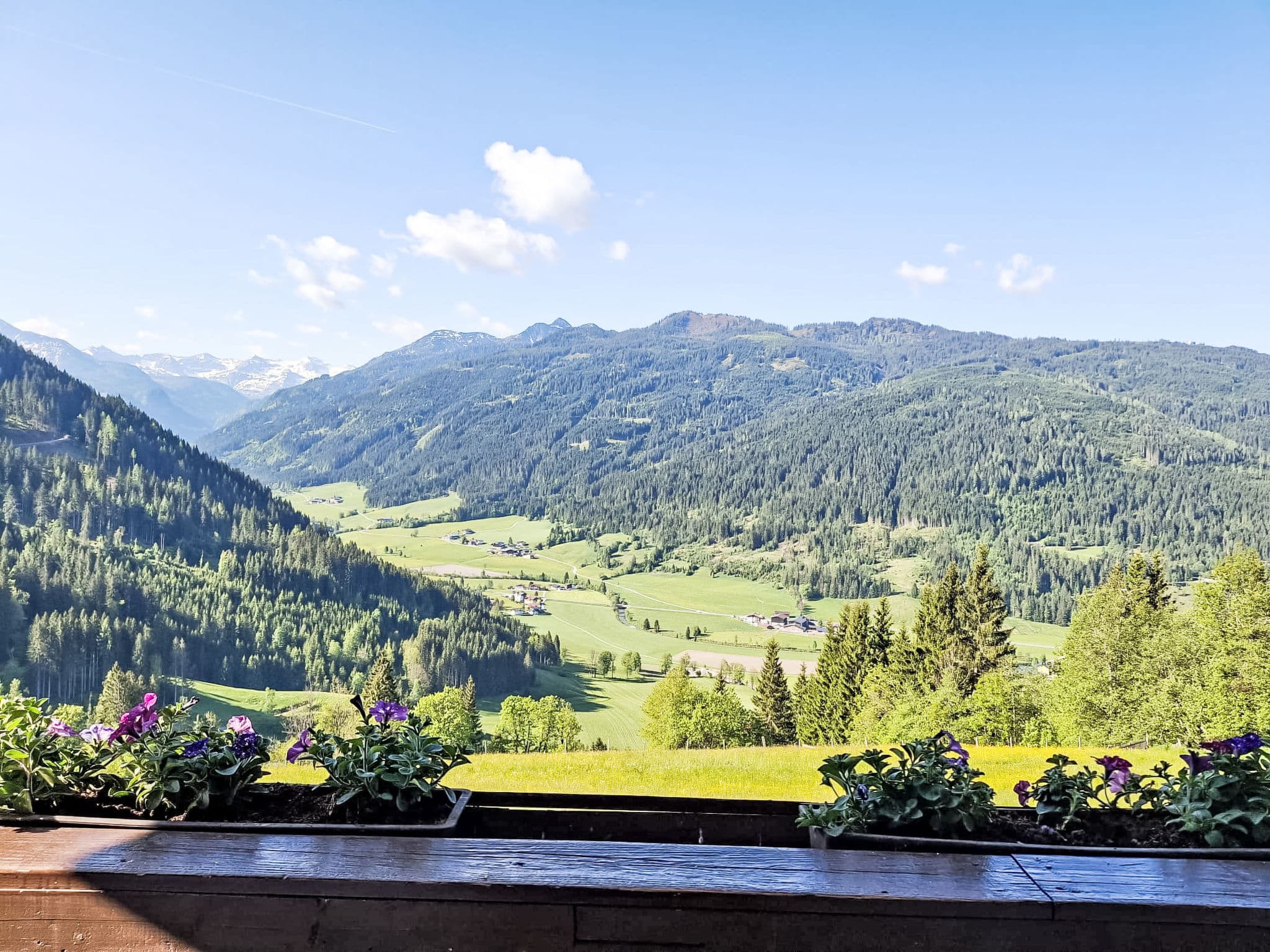 View