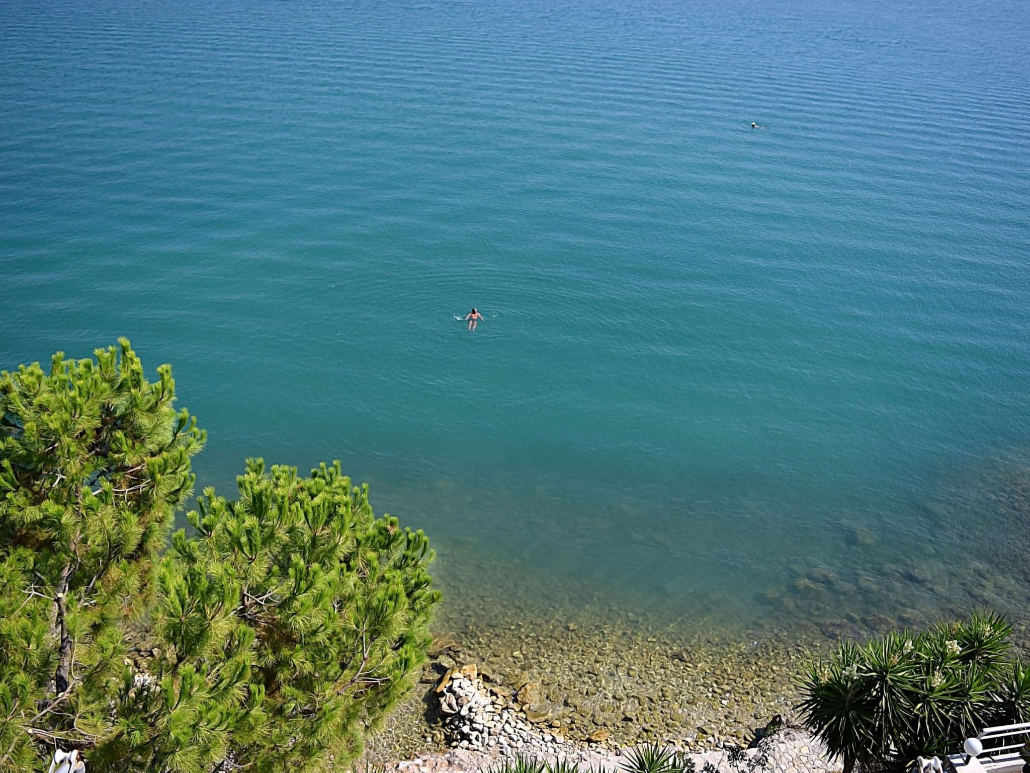 Gallery Image 25