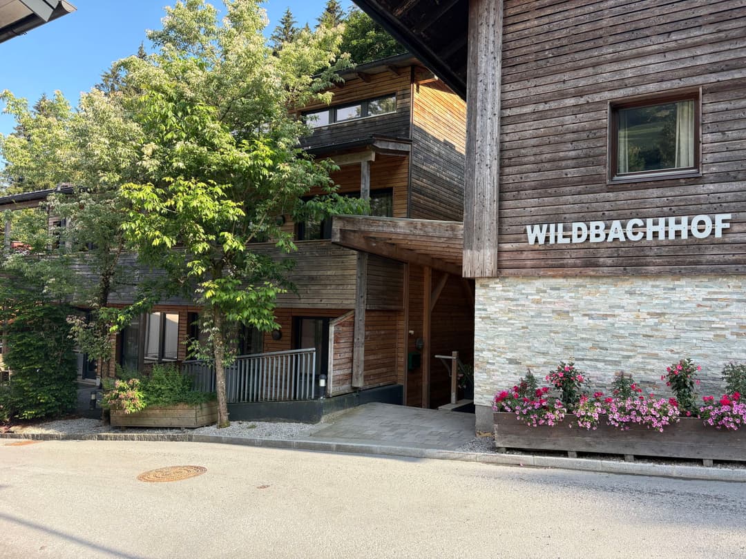 Large Image