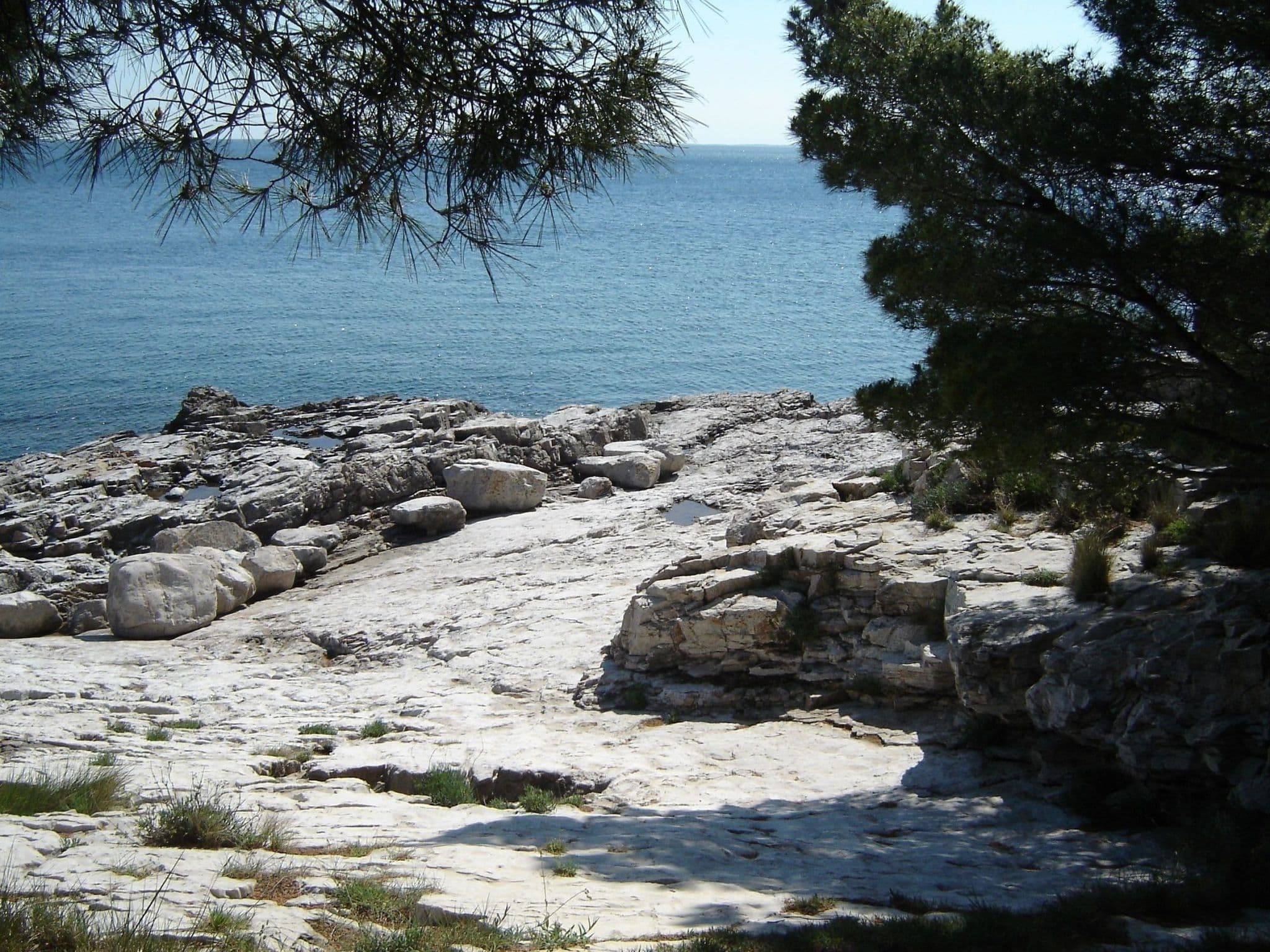 Gallery Image 18