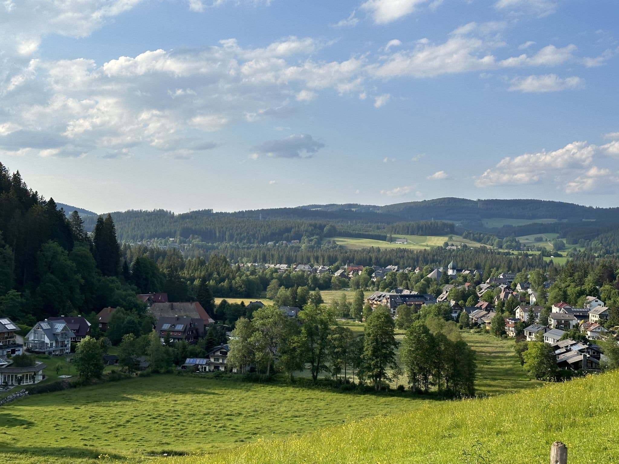 View