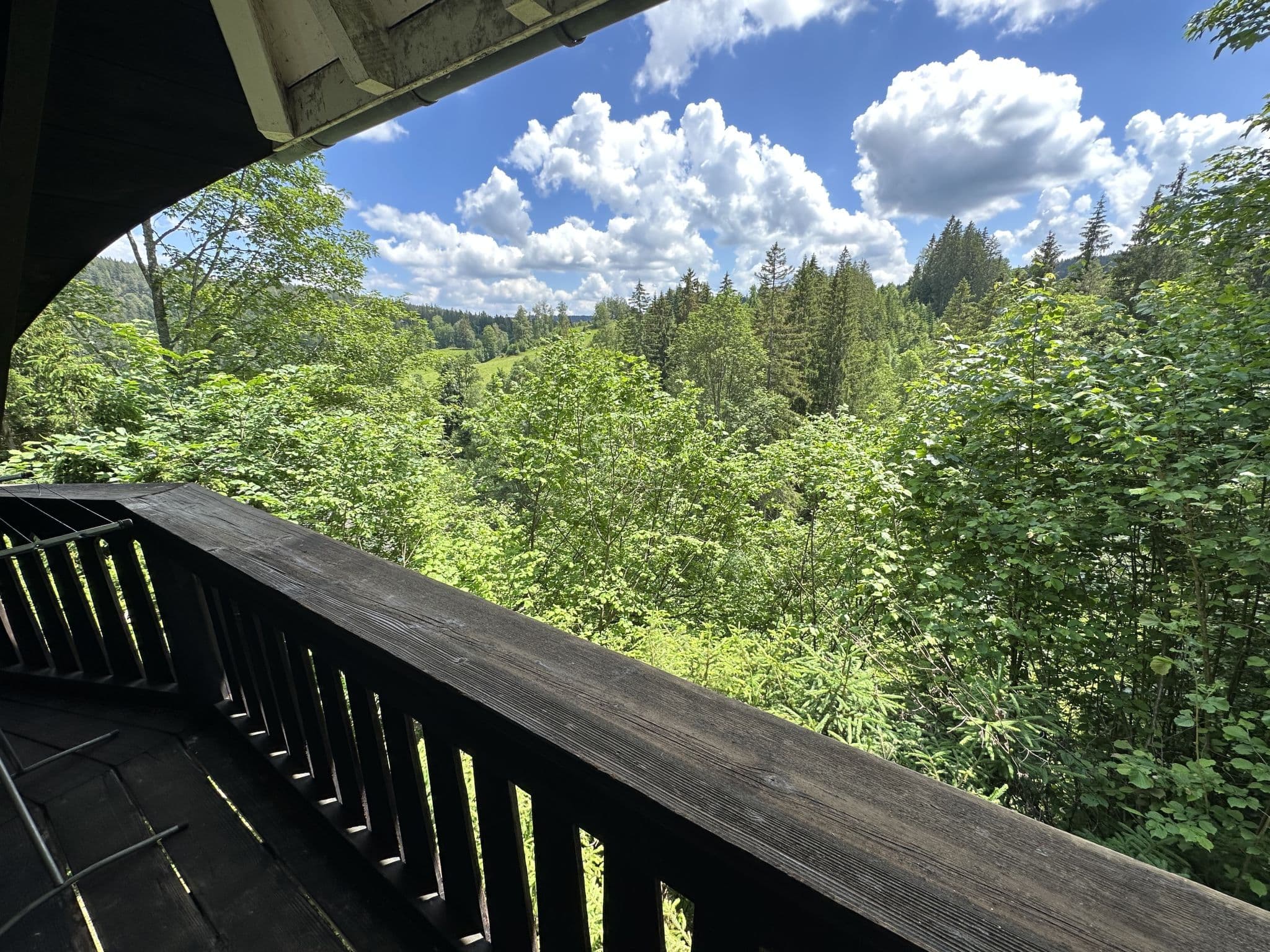 View